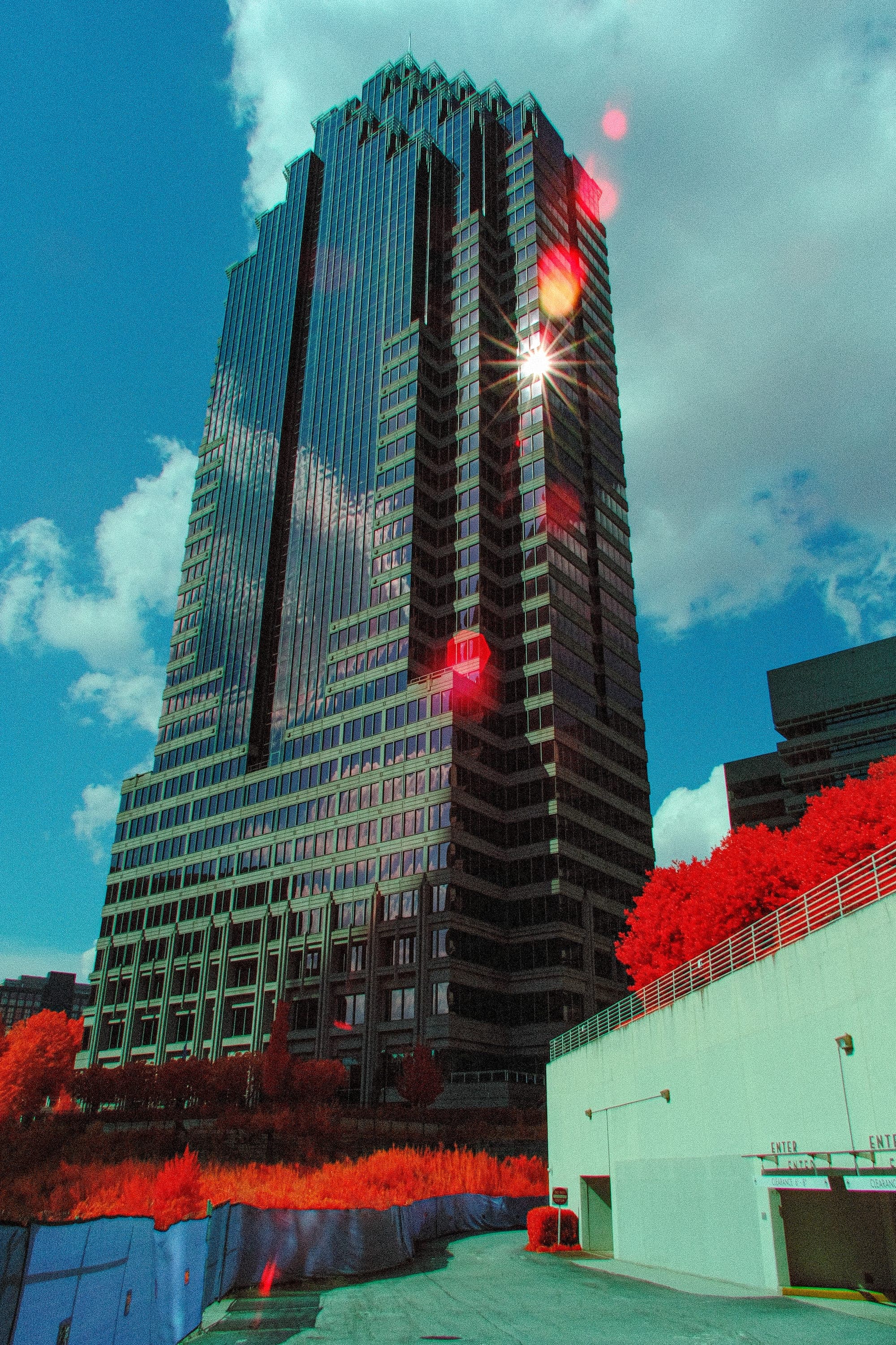 Near-infrared photograph from the Atlanta series — description pending curation