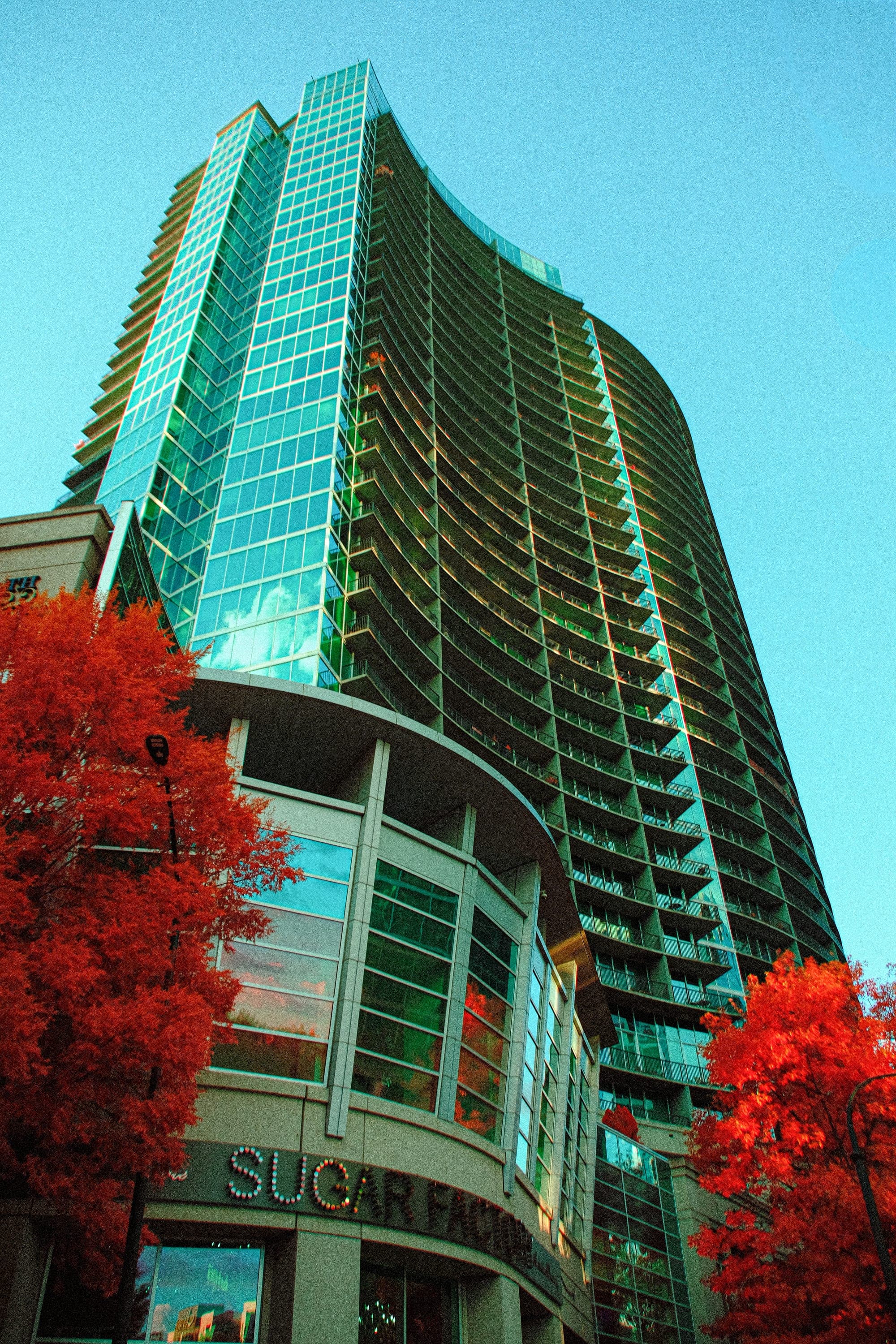 Near-infrared photograph from the Atlanta series — description pending curation