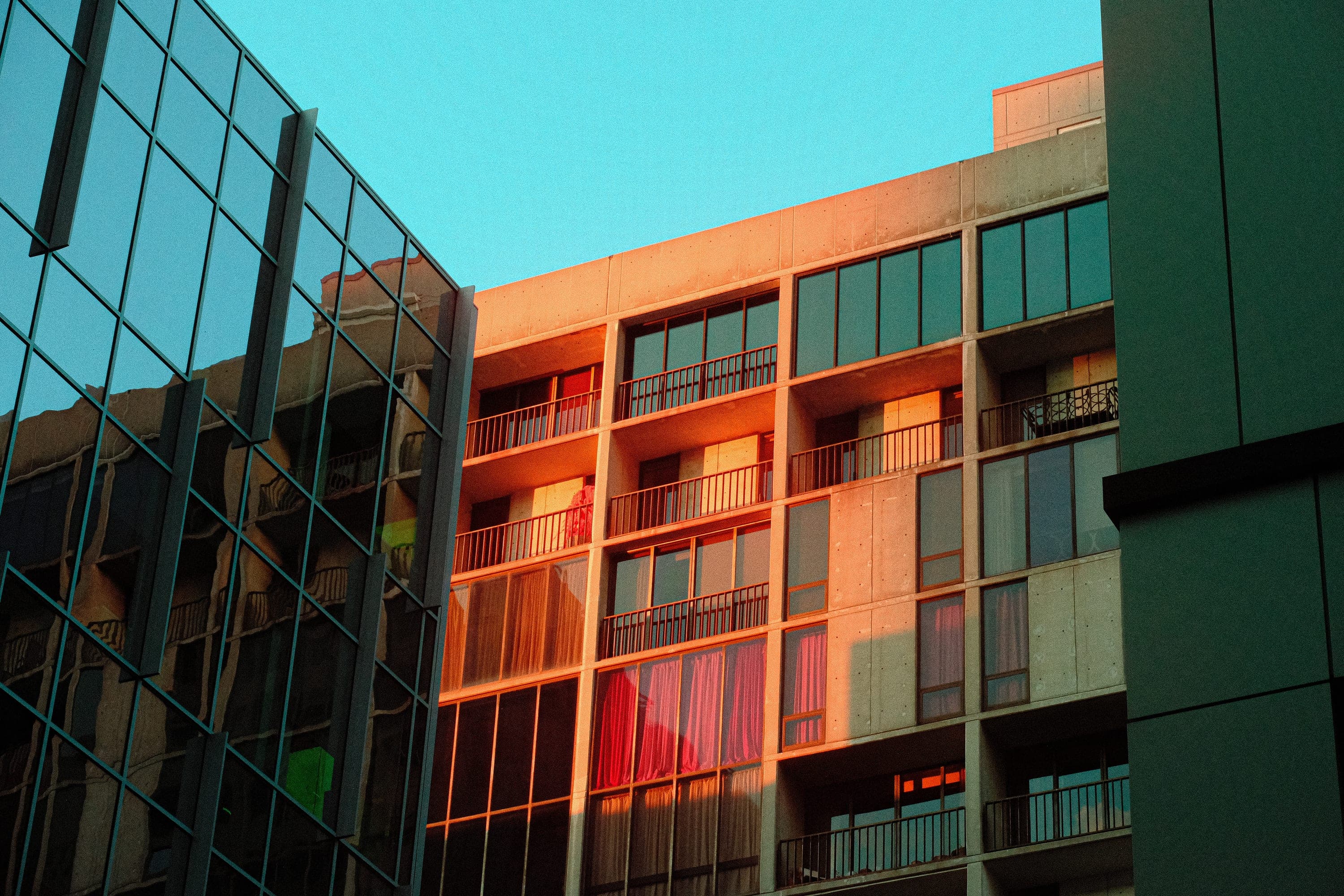 Near-infrared photograph from the Atlanta series — description pending curation
