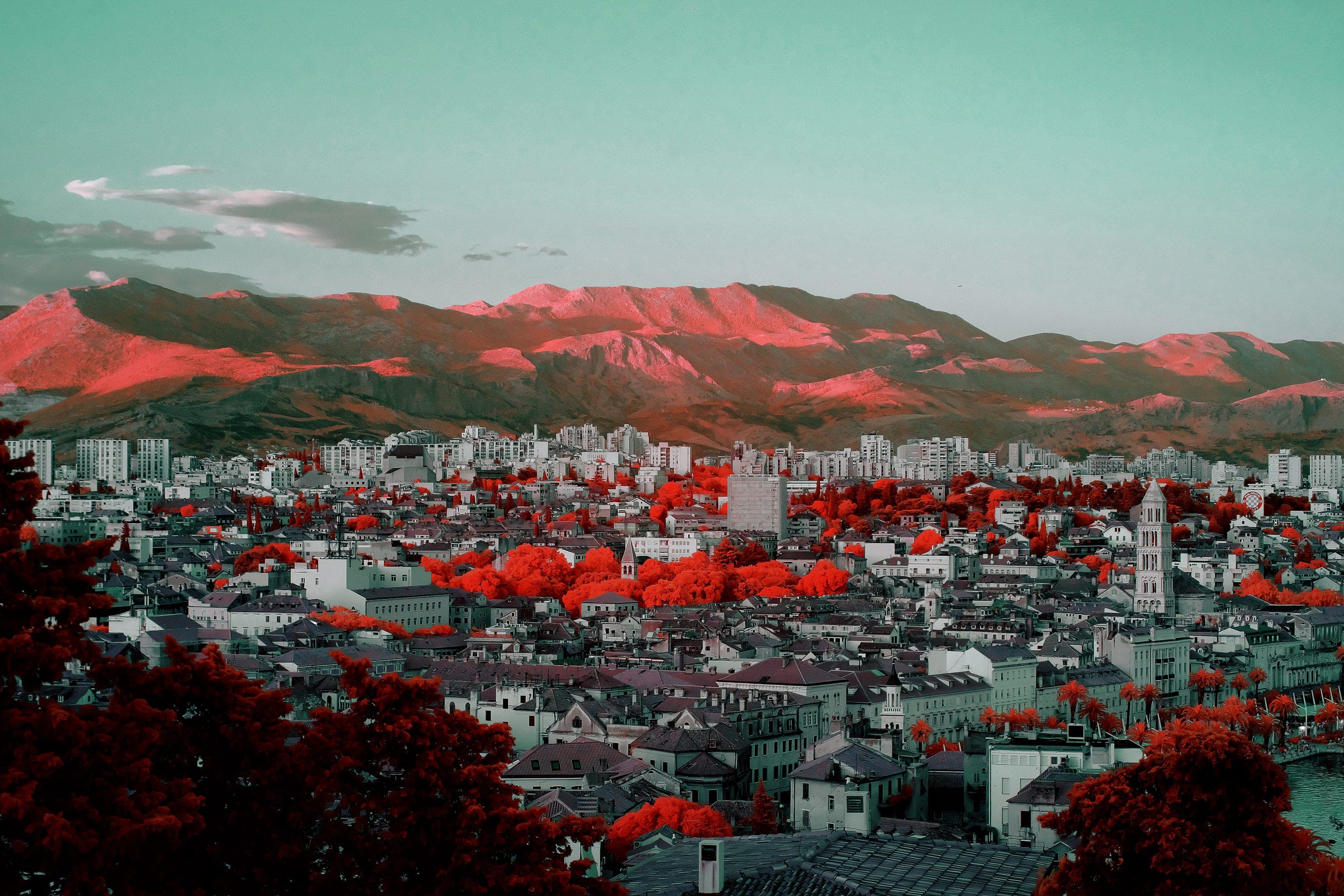 Near-infrared photograph from the Croatia series — description pending curation
