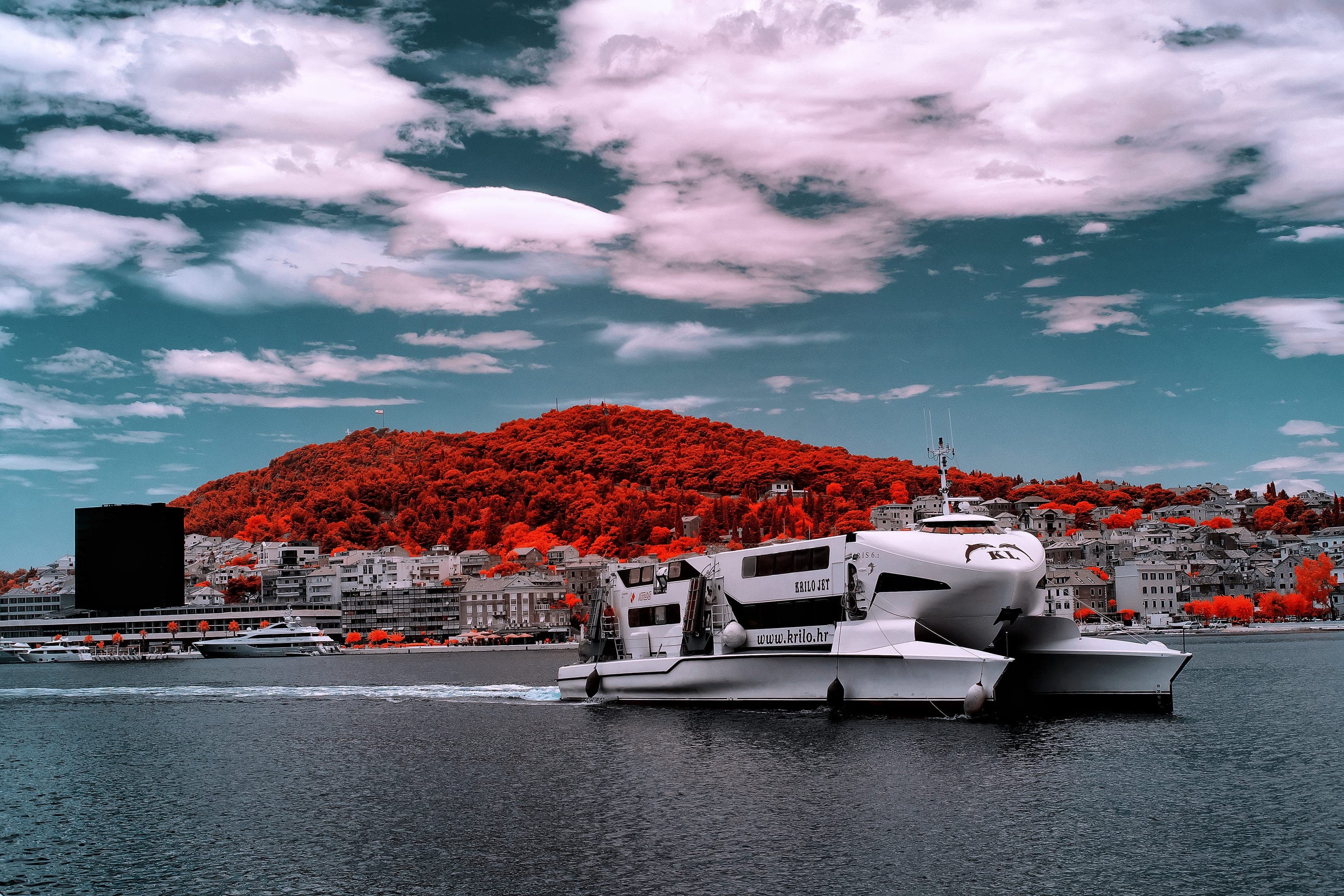 Near-infrared photograph from the Croatia series — description pending curation