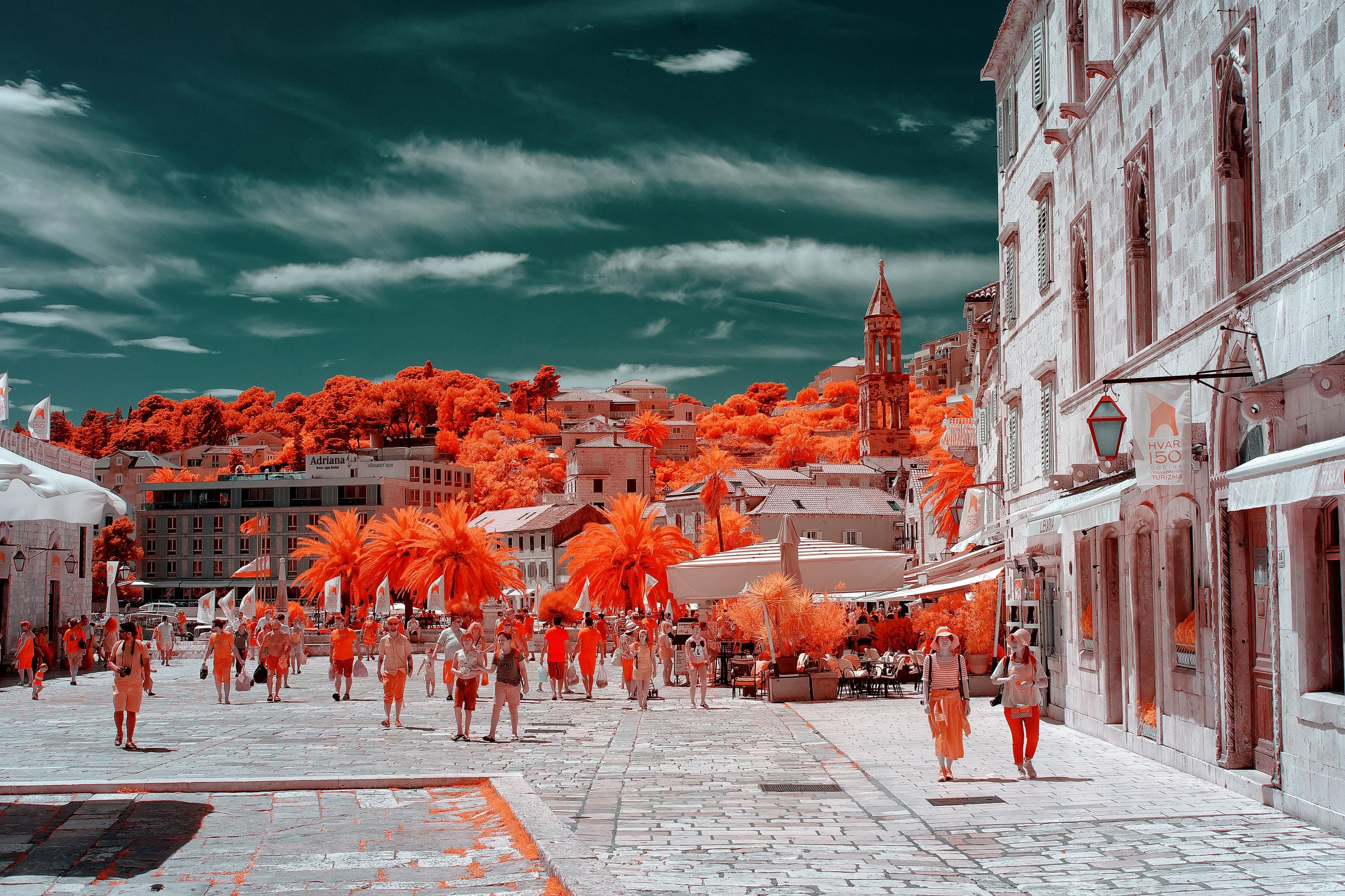 Near-infrared photograph from the Croatia series — description pending curation