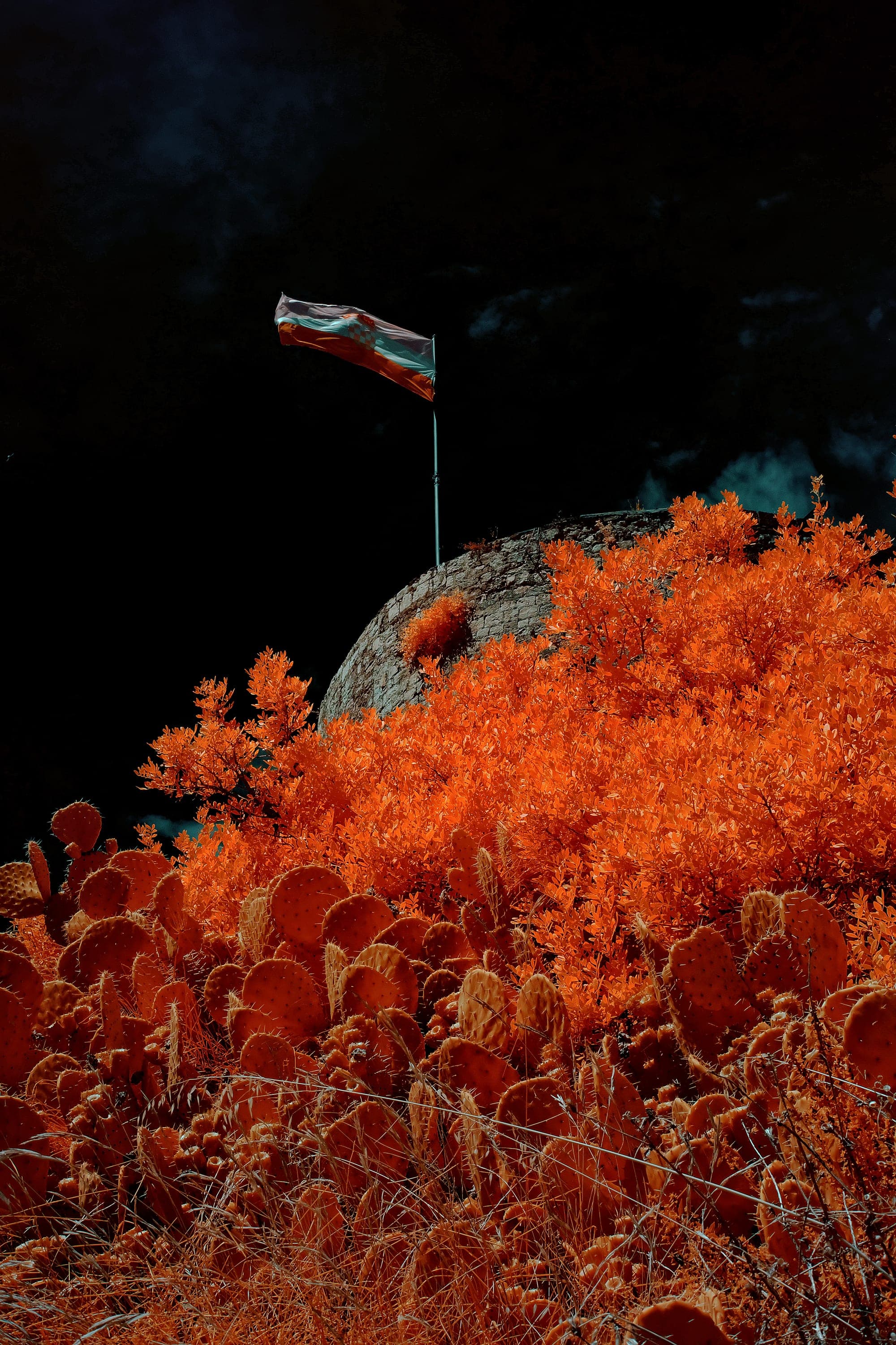 Near-infrared photograph from the Croatia series — description pending curation