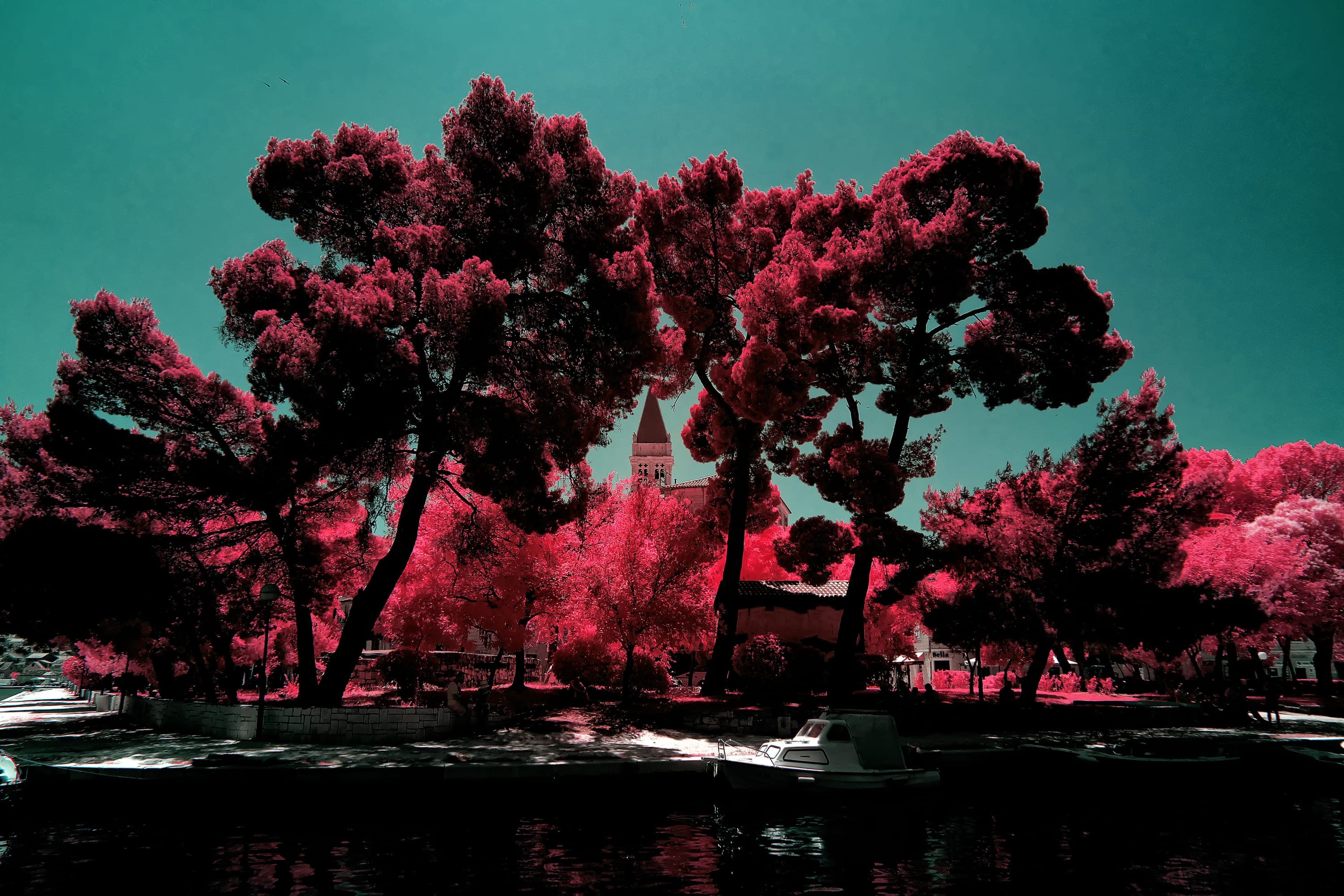 Near-infrared photograph from the Croatia series — description pending curation