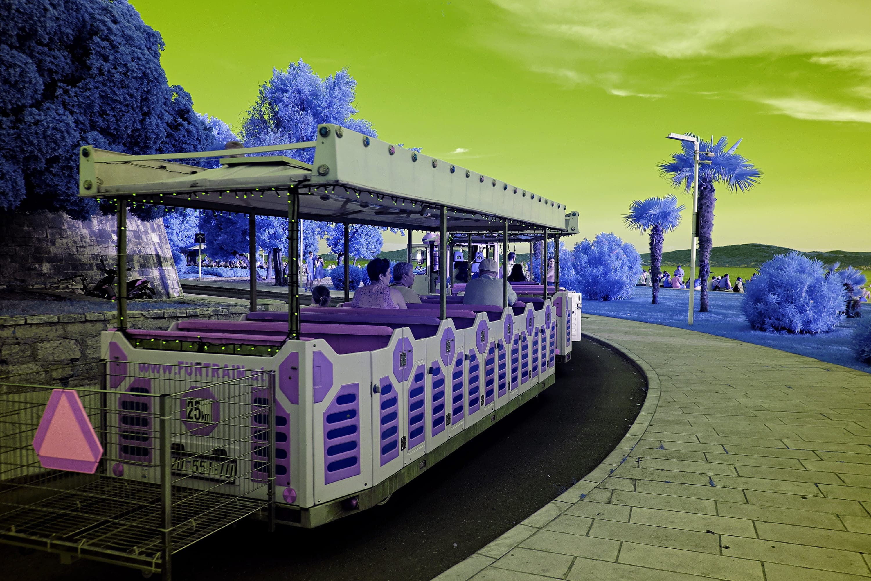 Near-infrared photograph from the Croatia series — description pending curation
