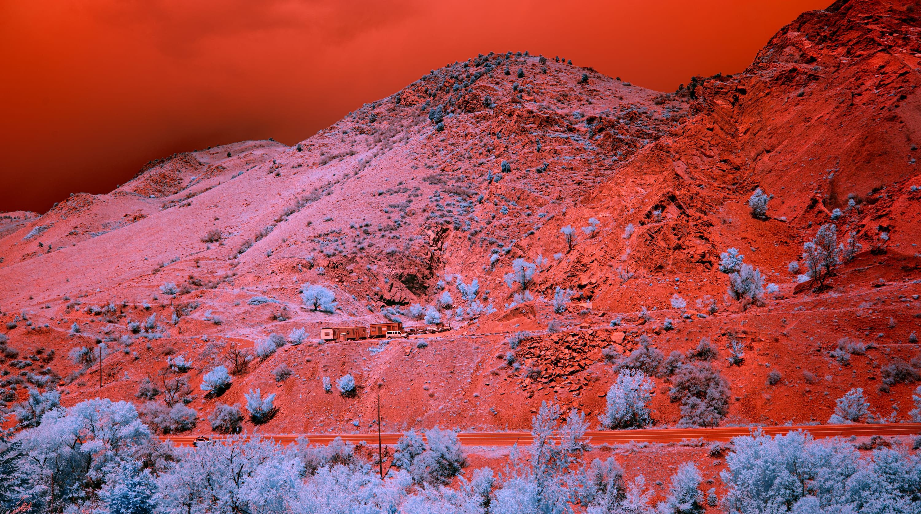 Near-infrared photograph from the Denver series — description pending curation