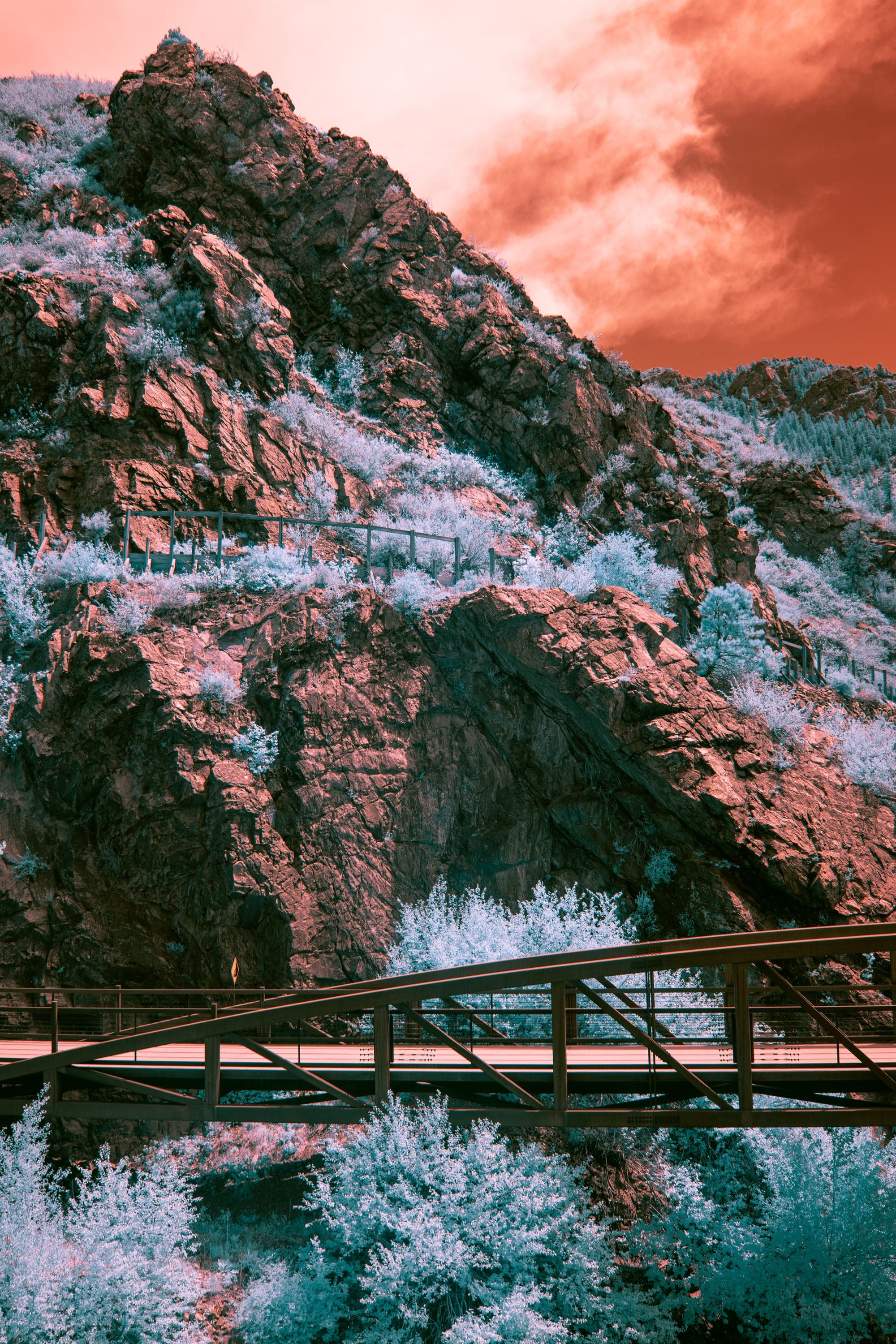 Near-infrared photograph from the Denver series — description pending curation