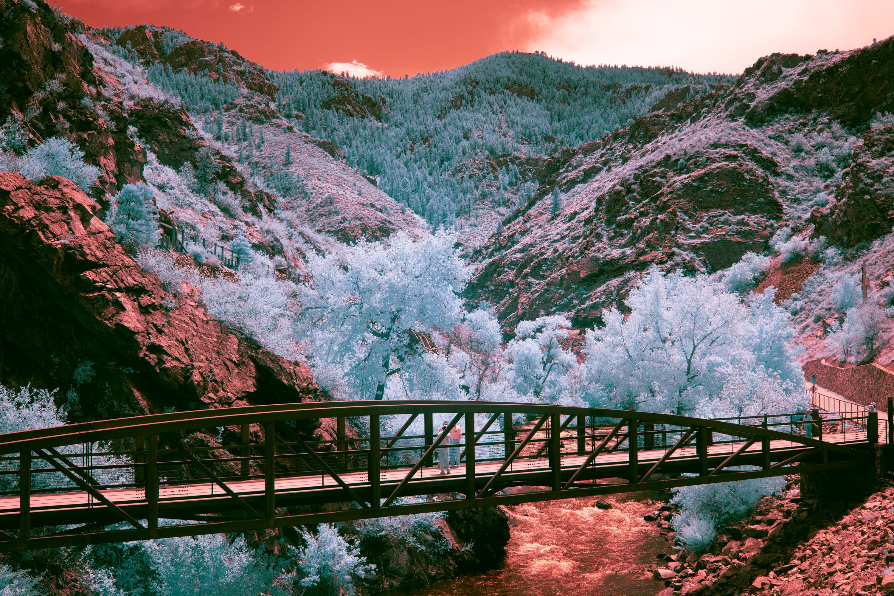 Near-infrared photograph from the Denver series — description pending curation
