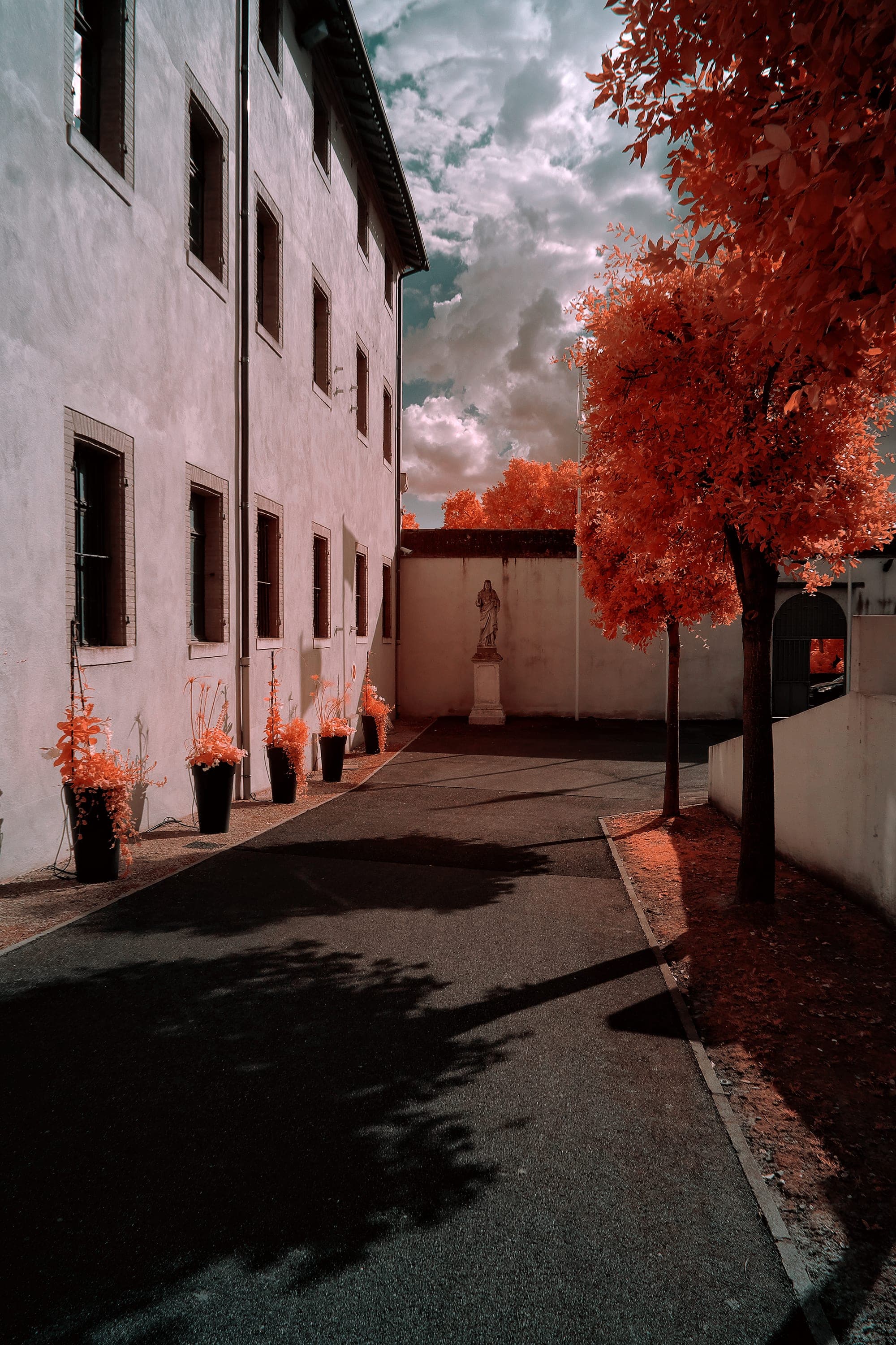 Near-infrared photograph from the France series — description pending curation