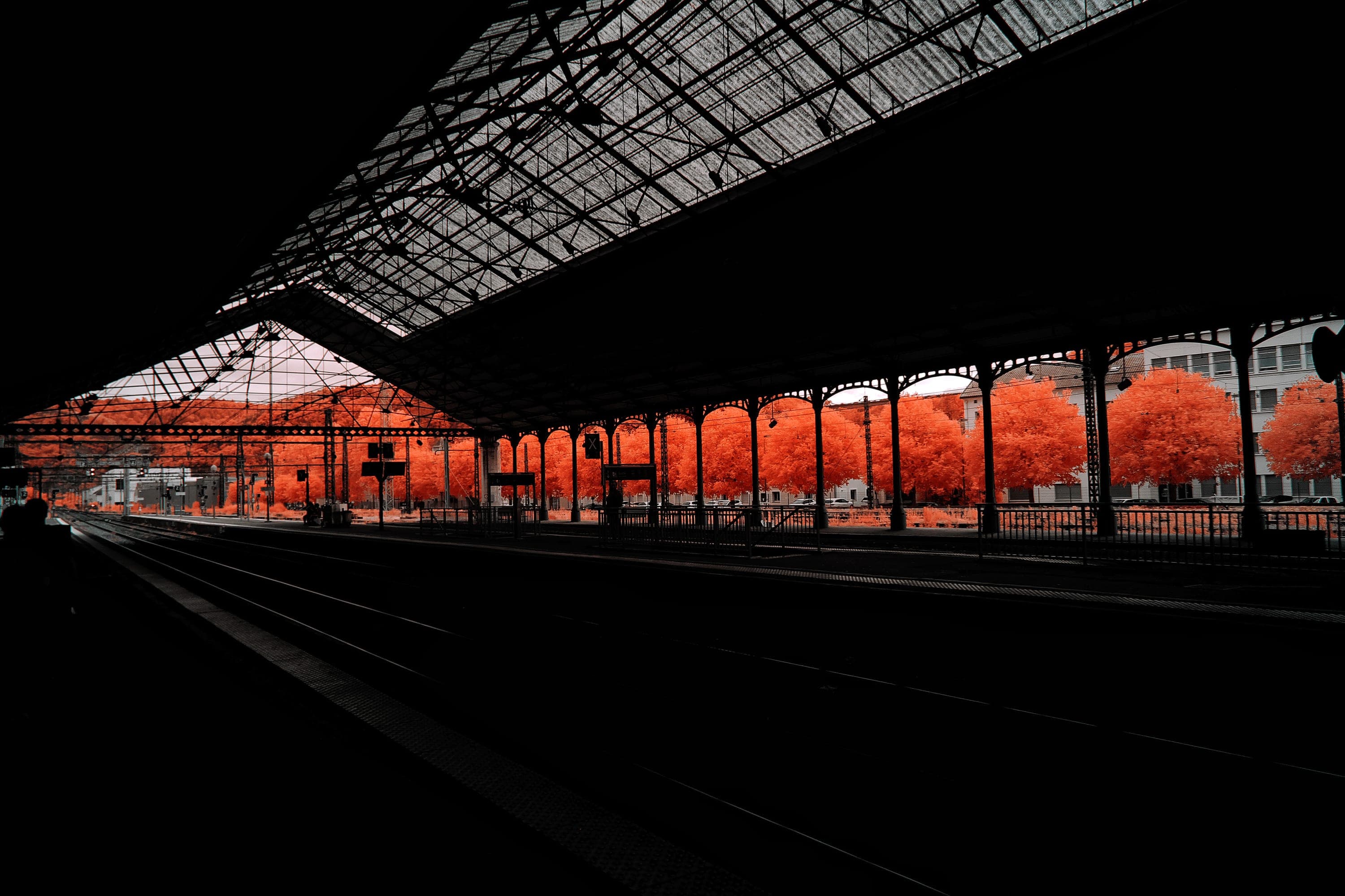 Near-infrared photograph from the France series — description pending curation