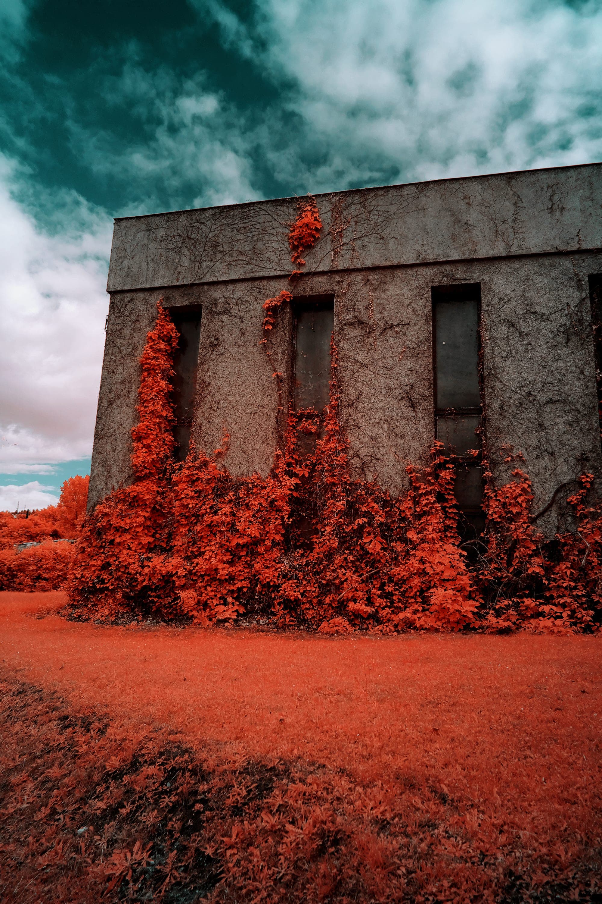 Near-infrared photograph from the France series — description pending curation