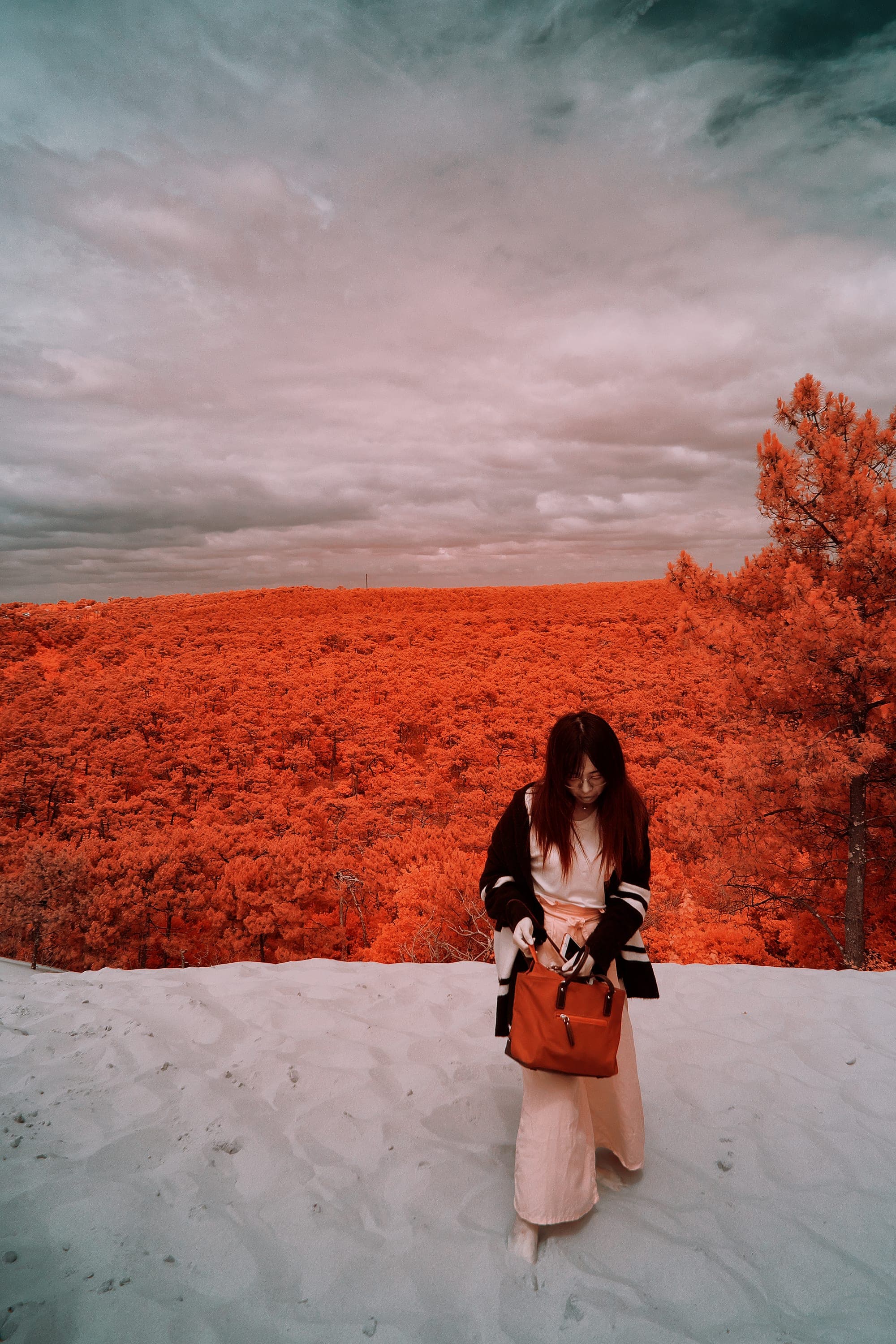 Near-infrared photograph from the France series — description pending curation