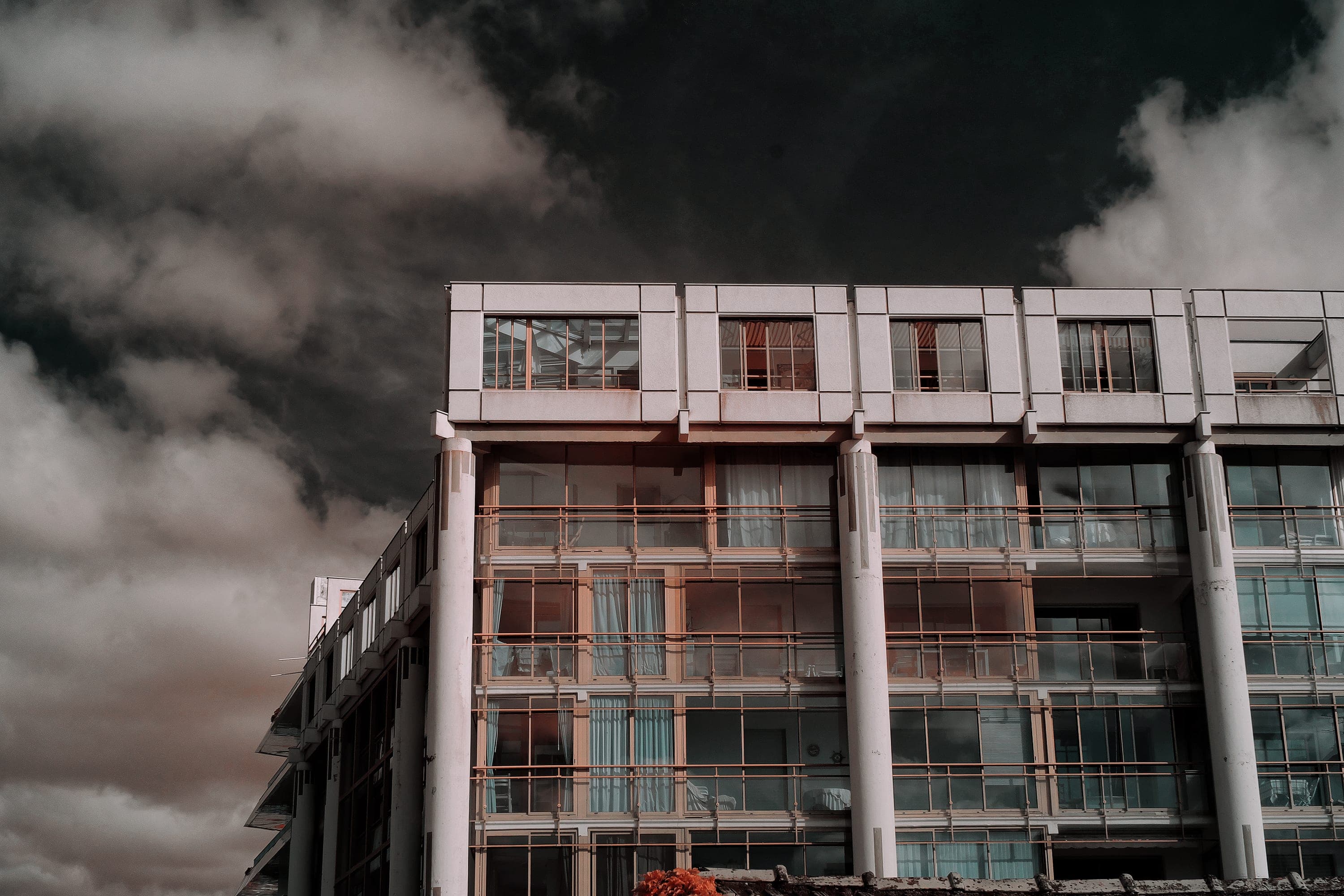 Near-infrared photograph from the France series — description pending curation