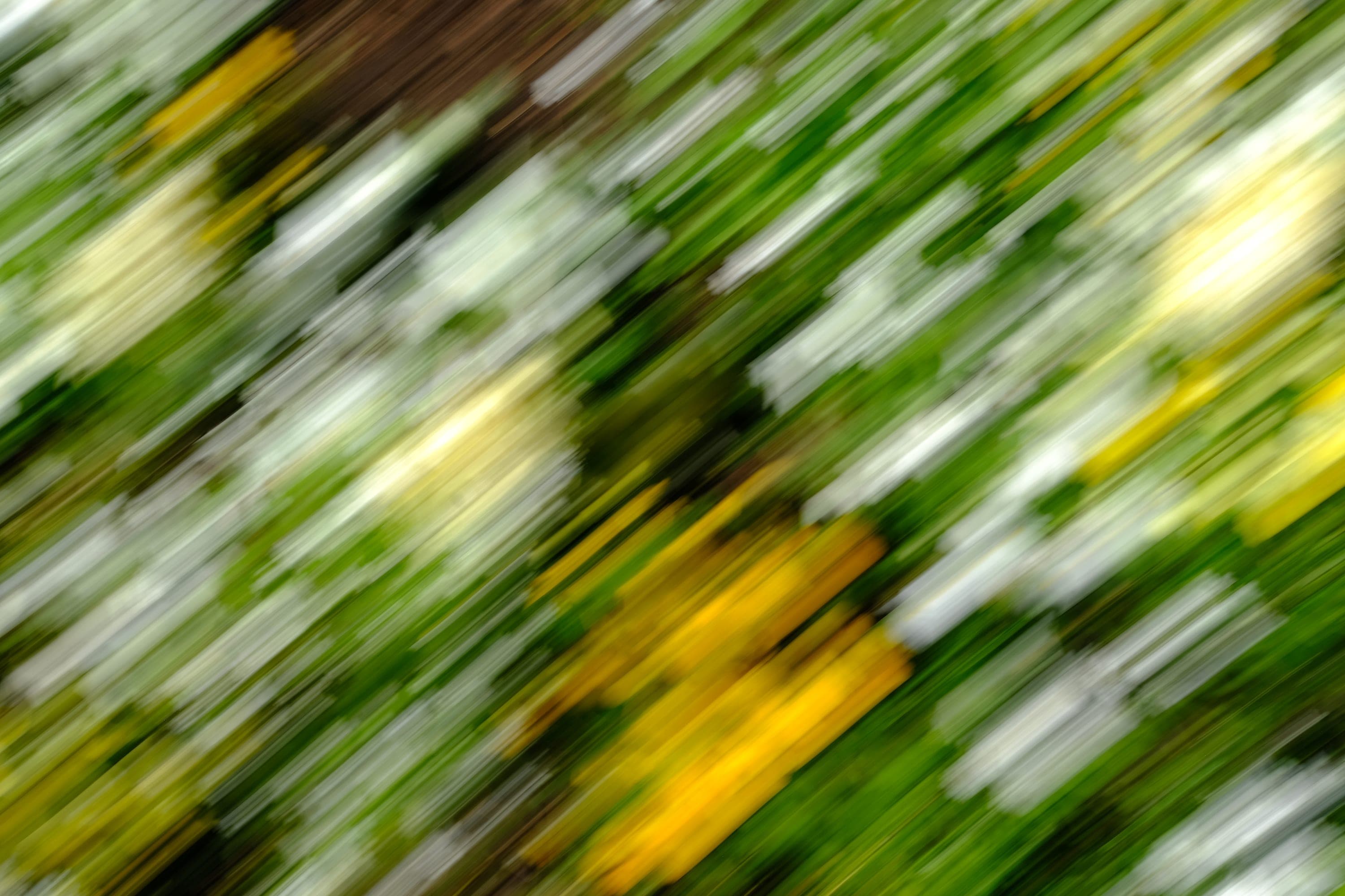 Impressionist camera-movement study from the Giverny series — description pending curation