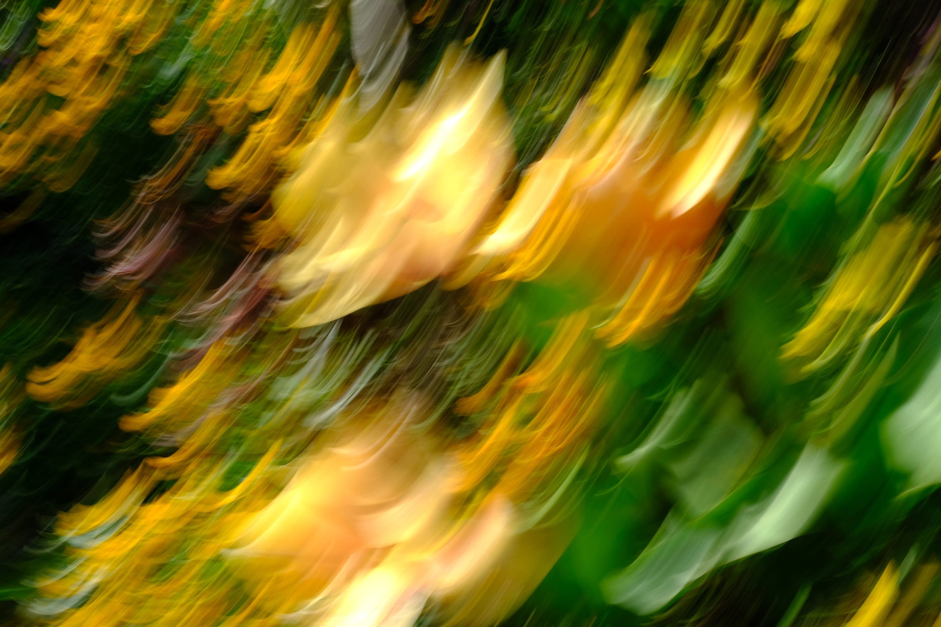 Impressionist camera-movement study from the Giverny series — description pending curation
