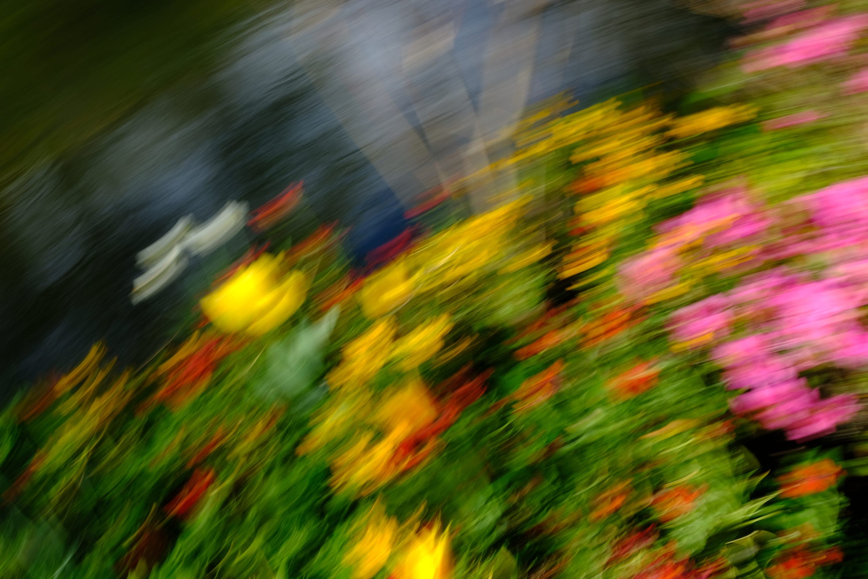 Impressionist camera-movement study from the Giverny series — description pending curation