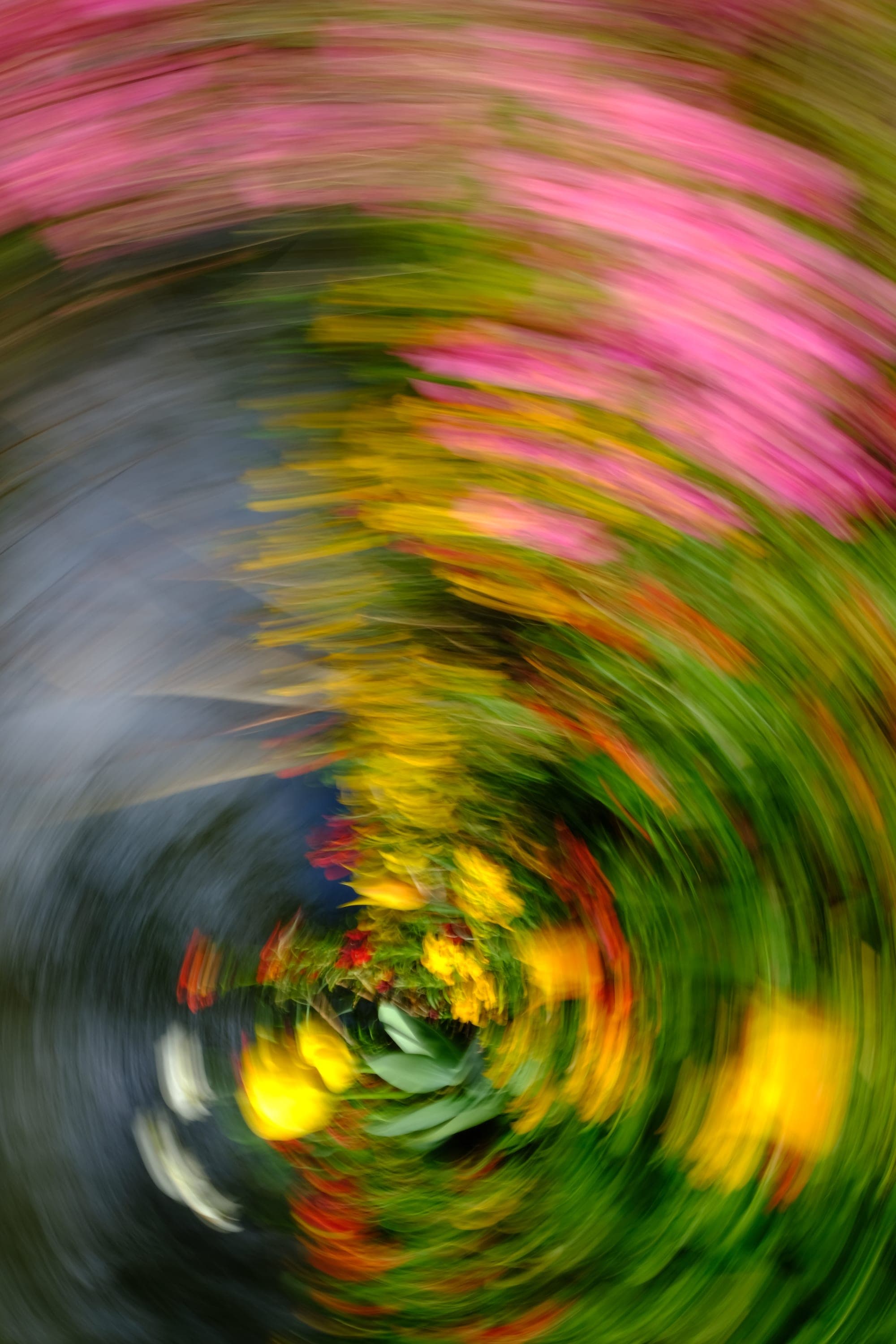 Impressionist camera-movement study from the Giverny series — description pending curation