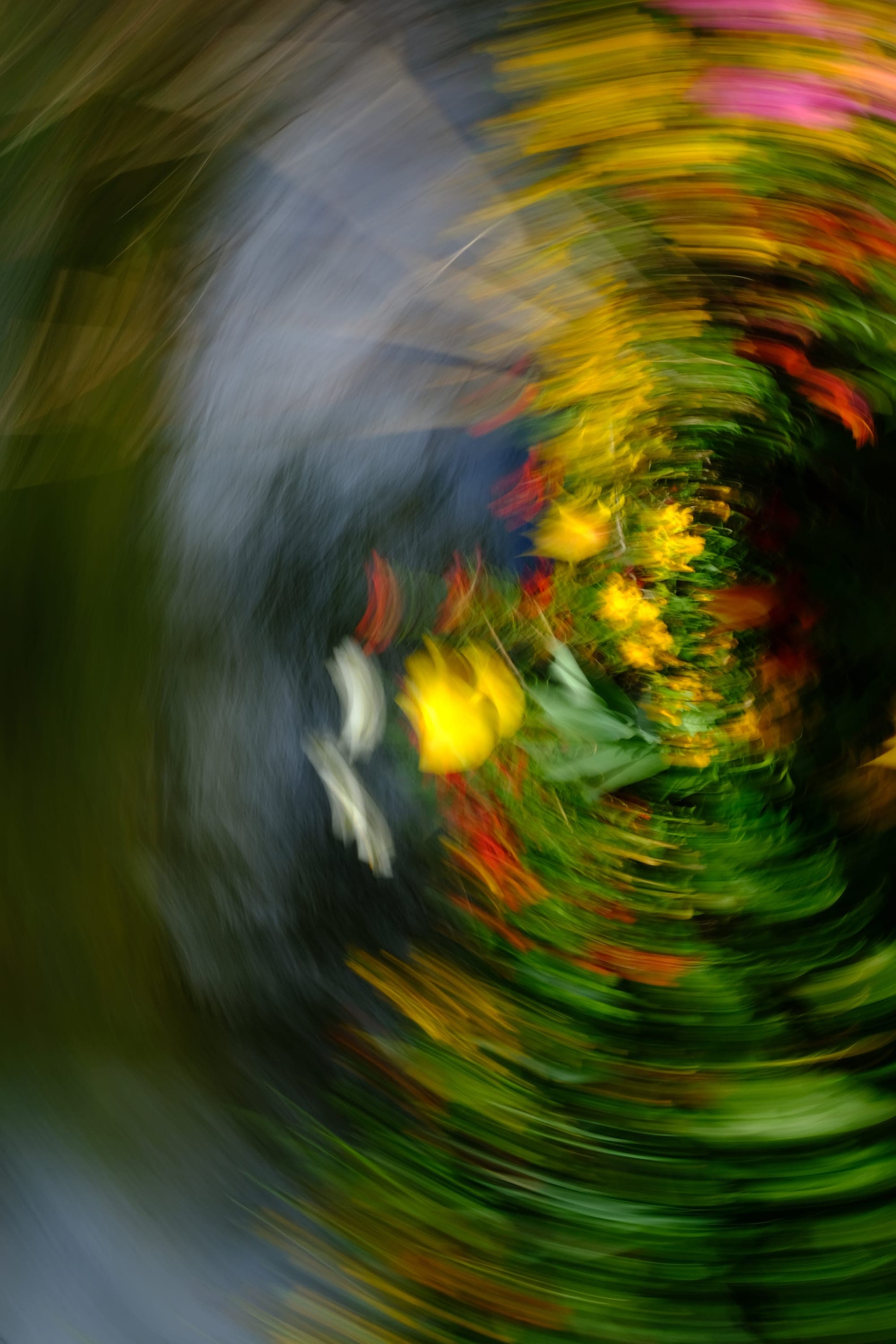 Impressionist camera-movement study from the Giverny series — description pending curation