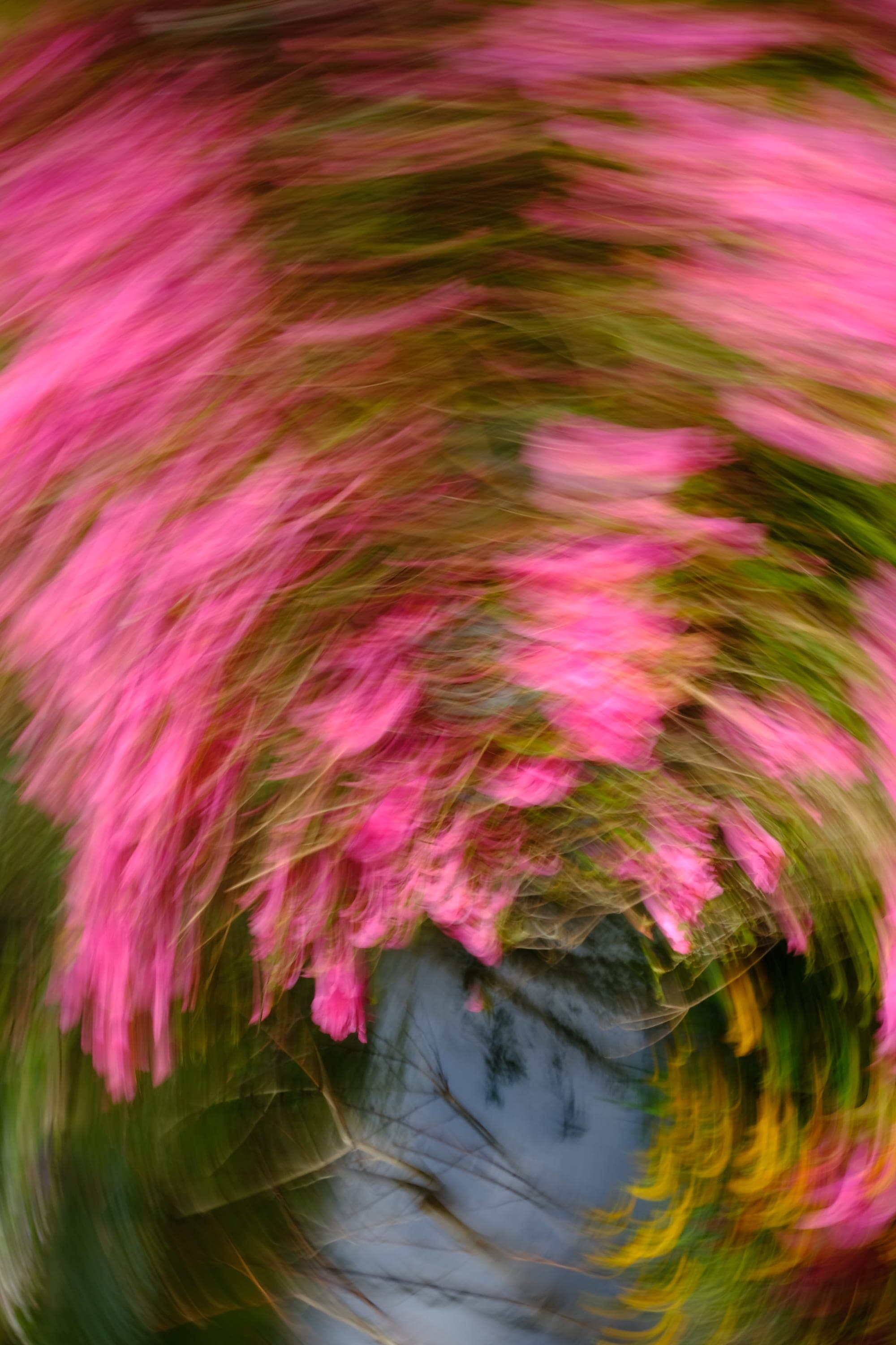 Impressionist camera-movement study from the Giverny series — description pending curation