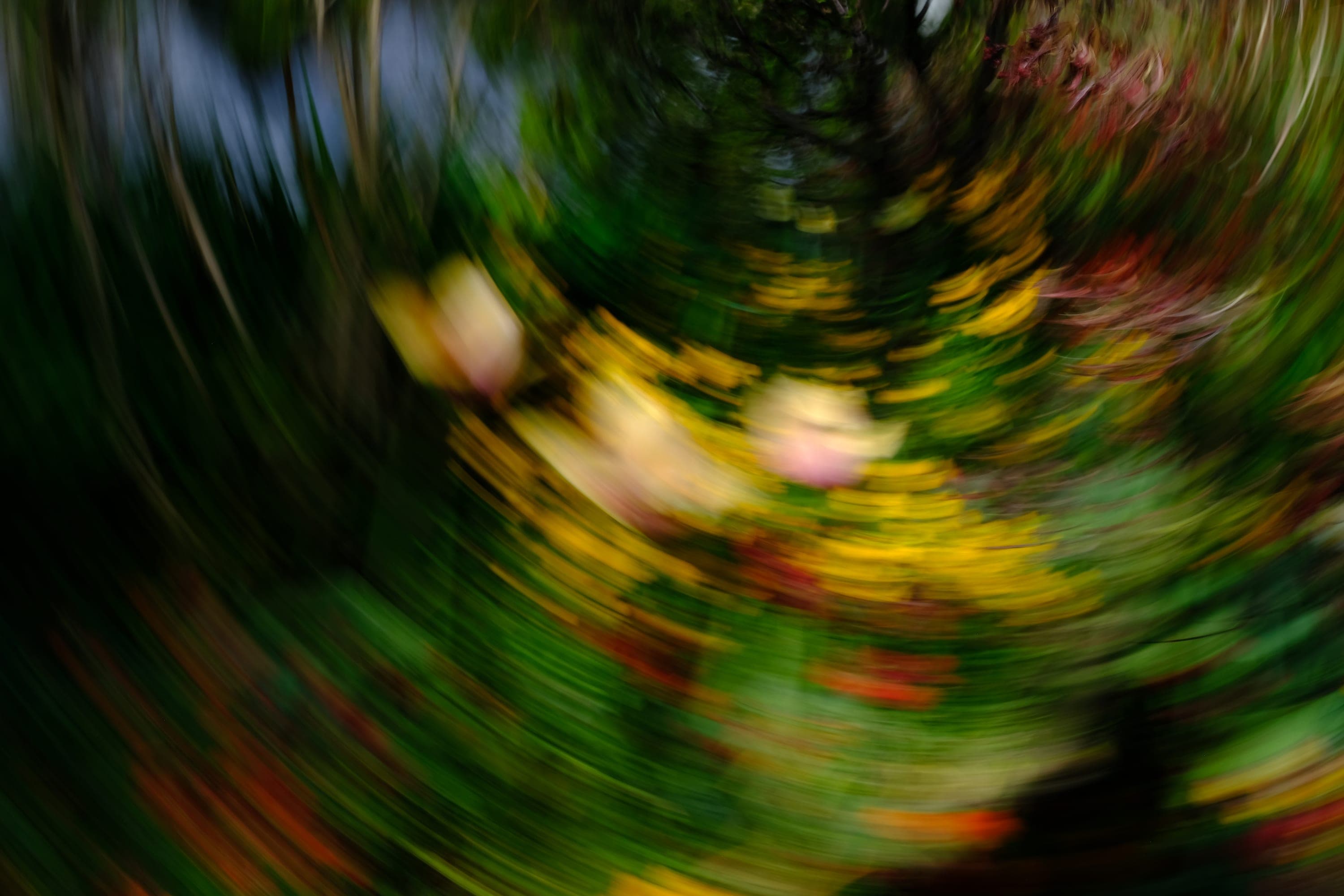 Impressionist camera-movement study from the Giverny series — description pending curation