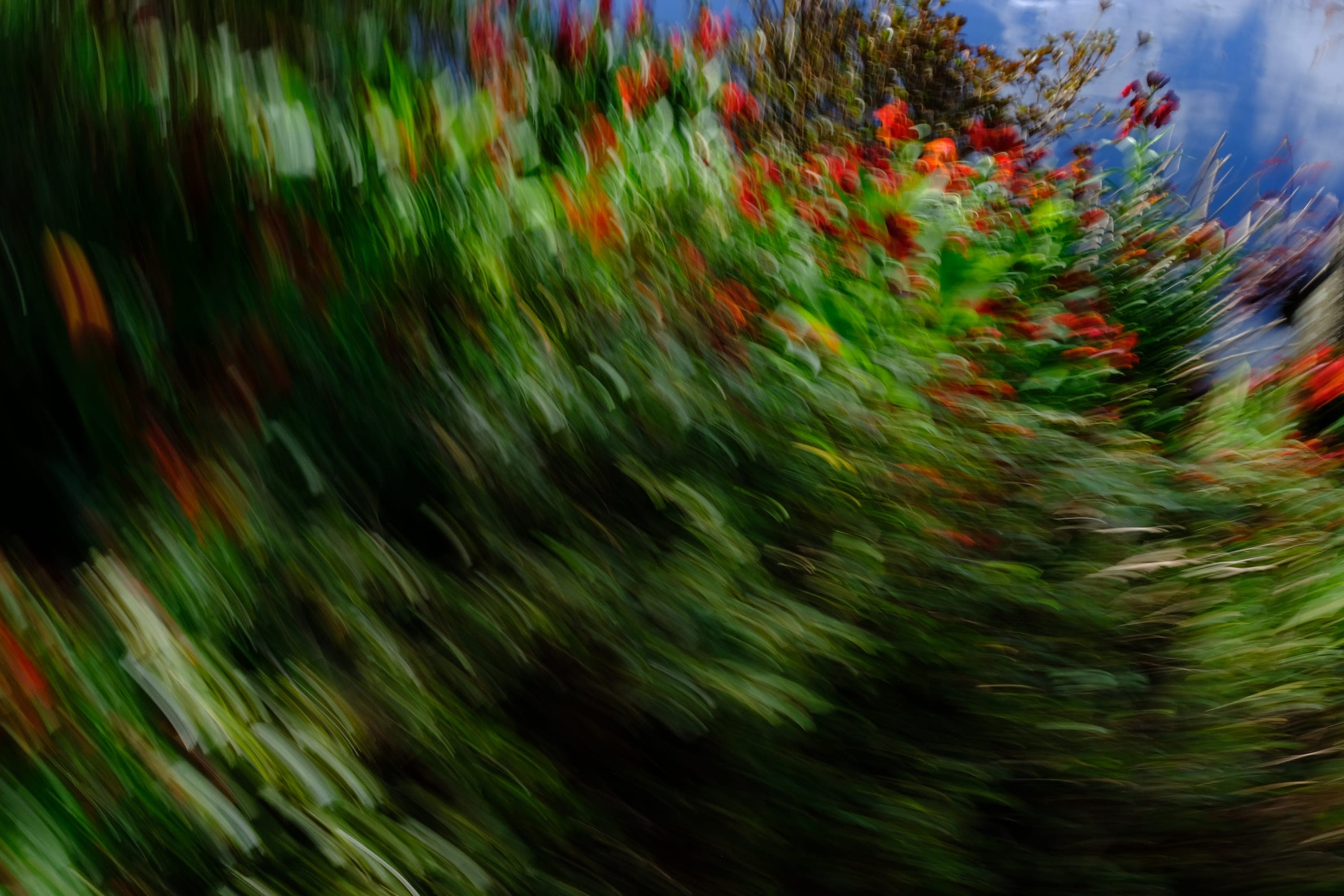 Impressionist camera-movement study from the Giverny series — description pending curation