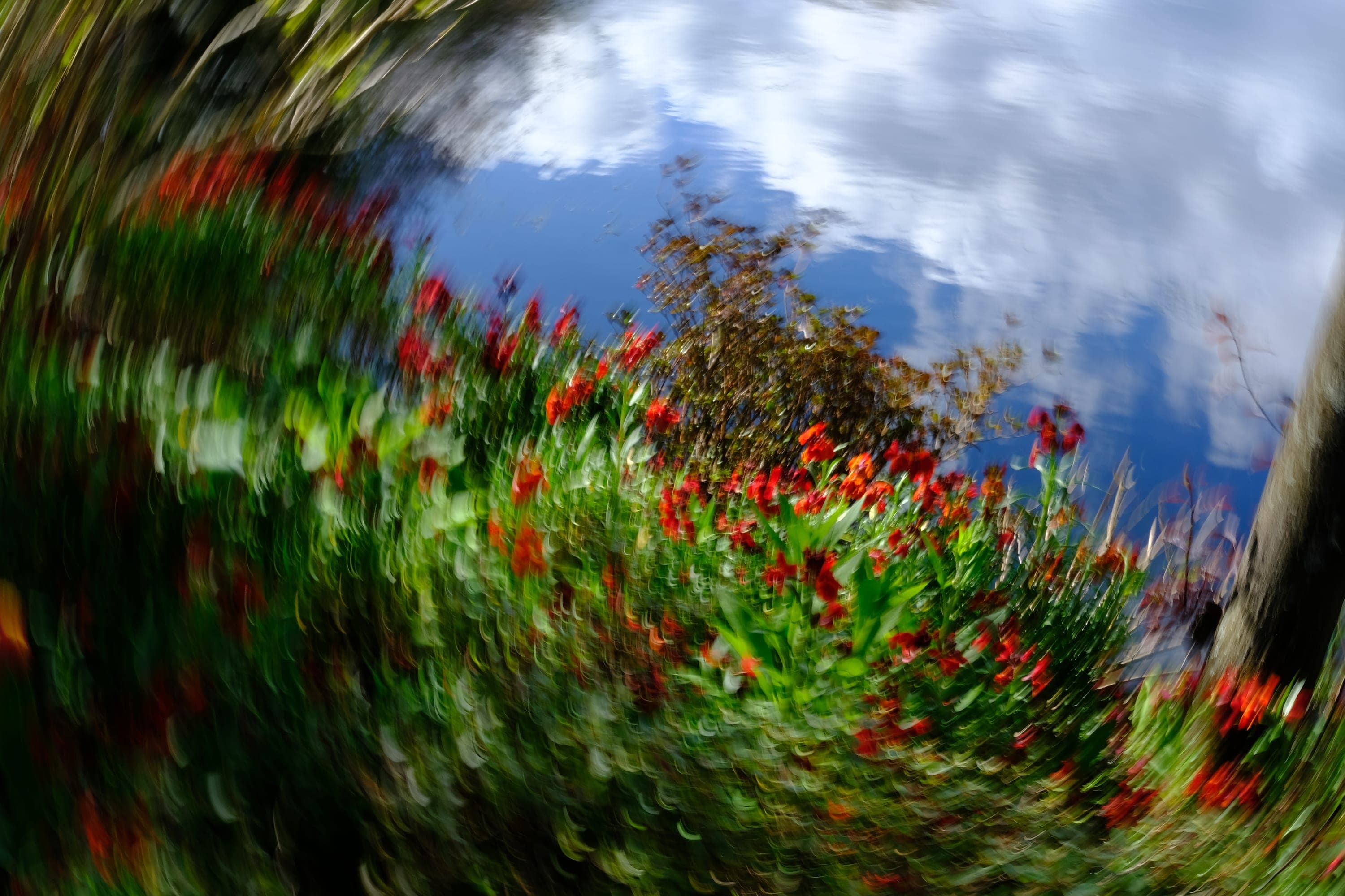 Impressionist camera-movement study from the Giverny series — description pending curation