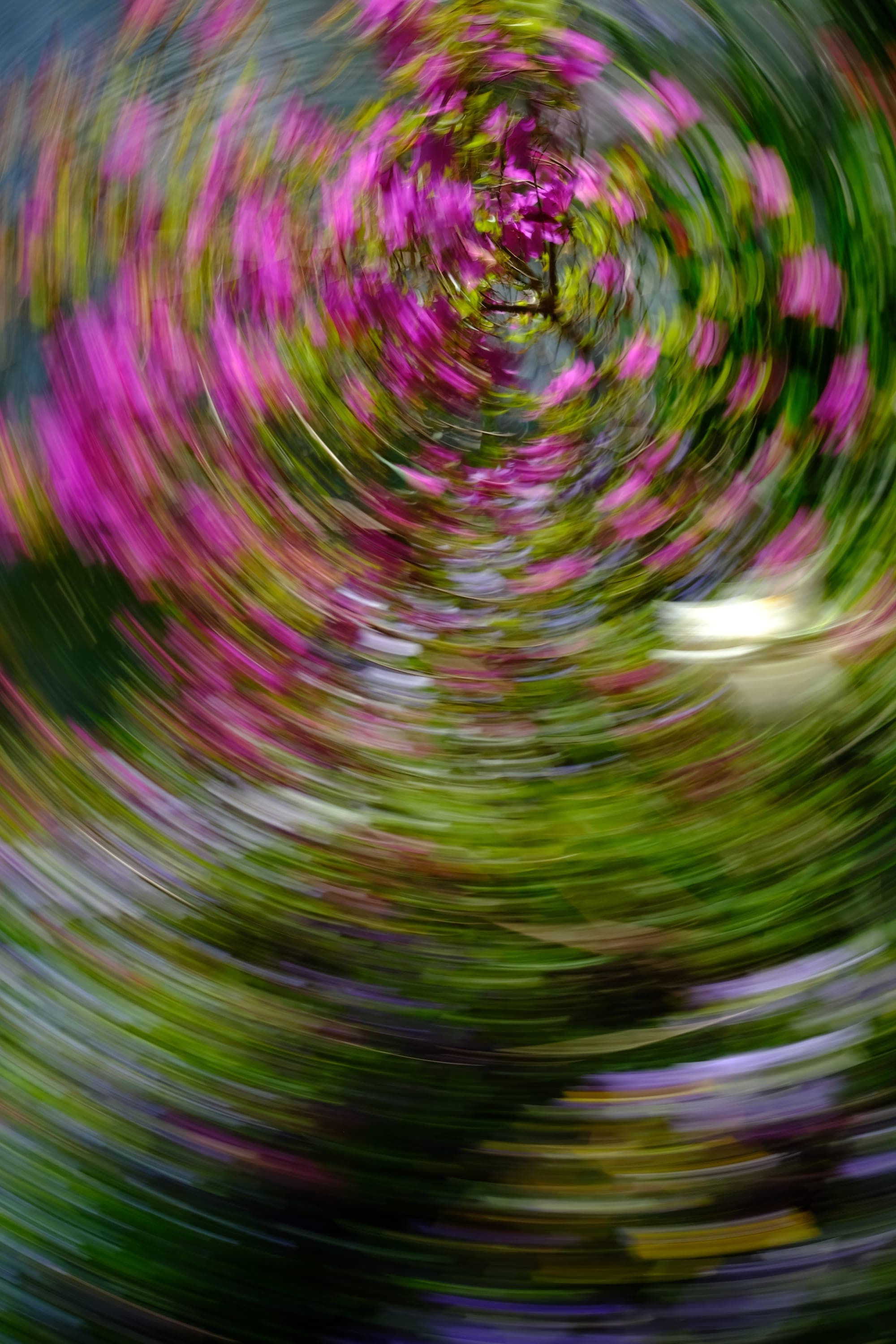 Impressionist camera-movement study from the Giverny series — description pending curation