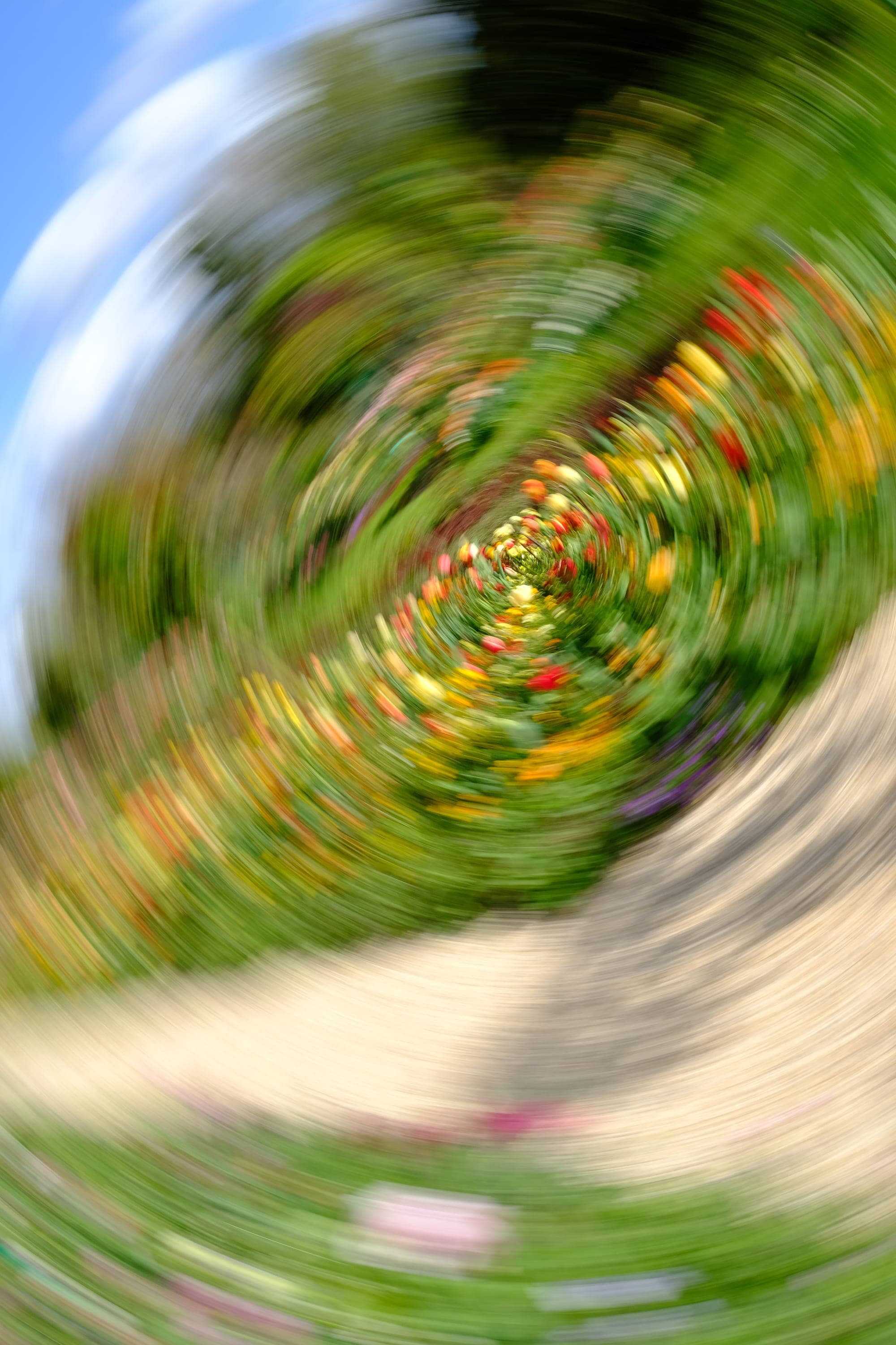 Impressionist camera-movement study from the Giverny series — description pending curation