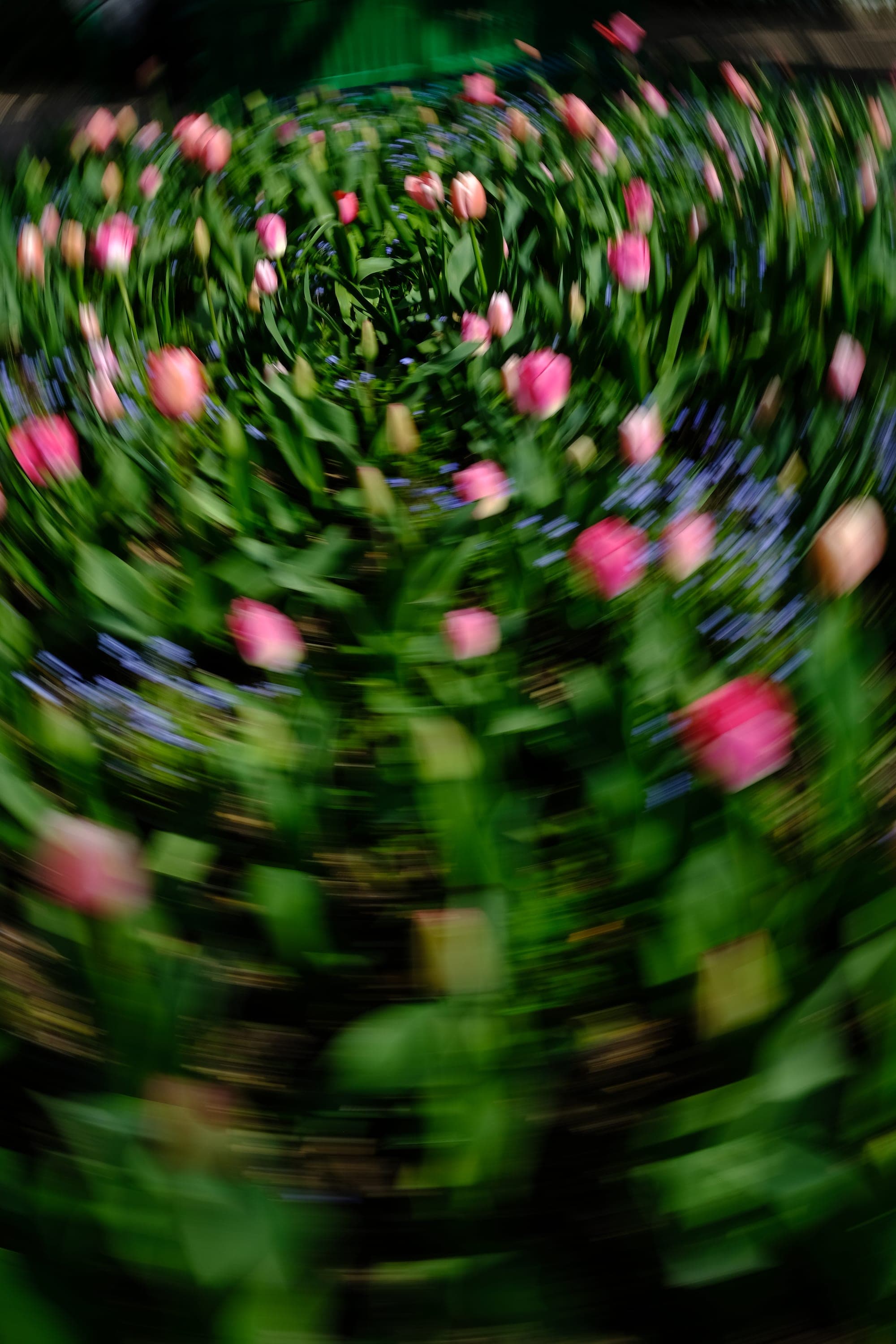 Impressionist camera-movement study from the Giverny series — description pending curation