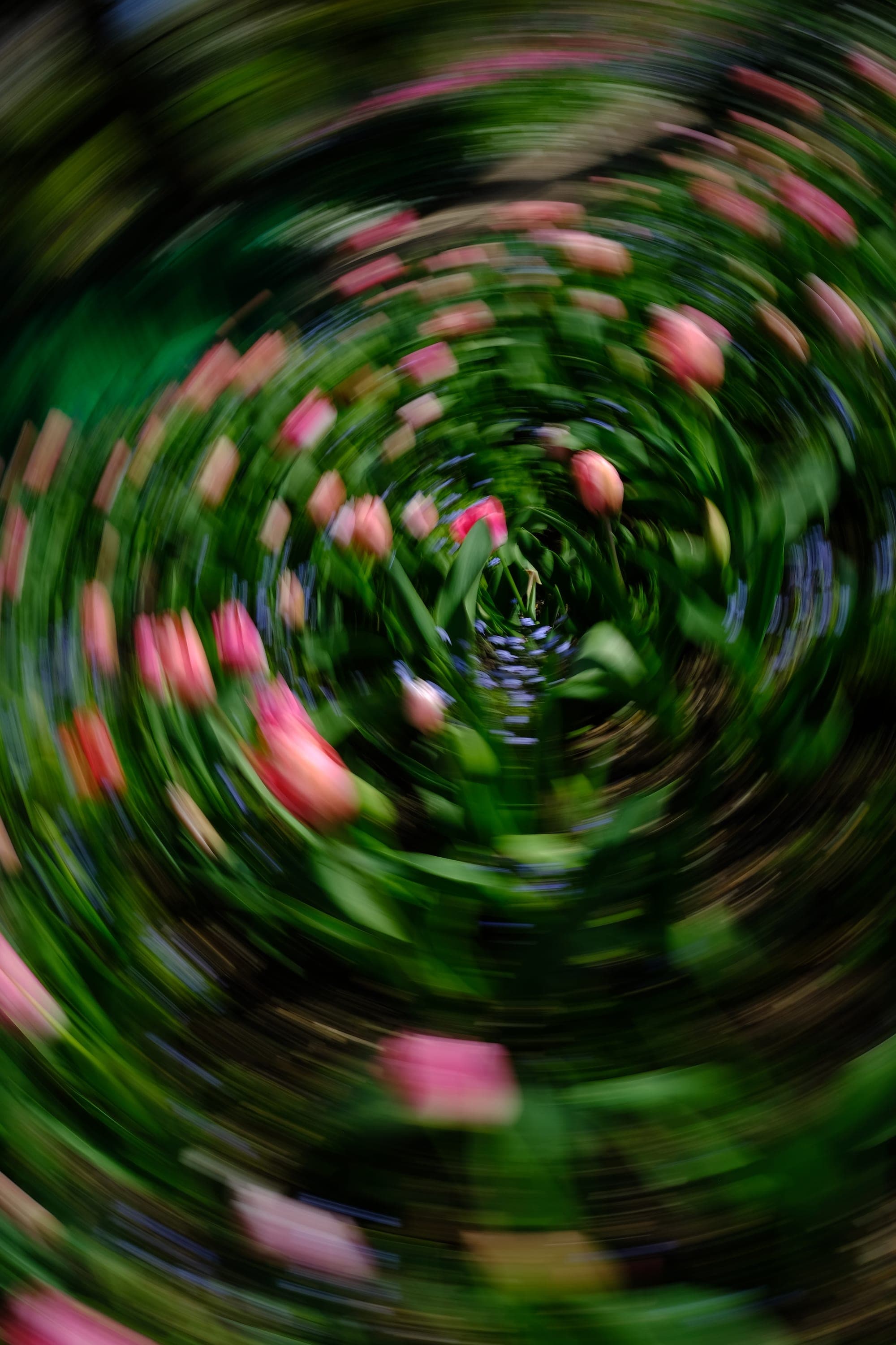 Impressionist camera-movement study from the Giverny series — description pending curation