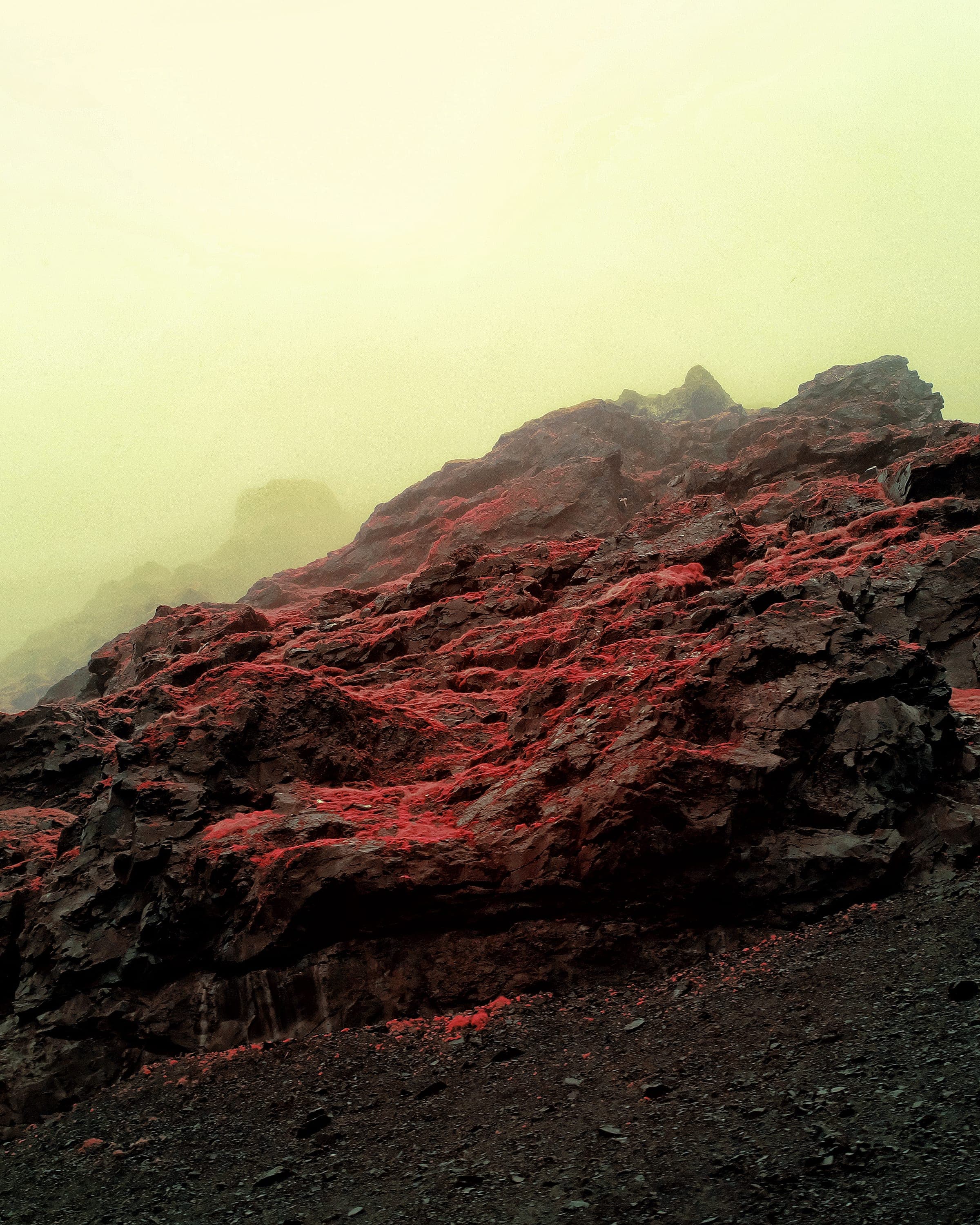 Near-infrared photograph from the Iceland series — description pending curation