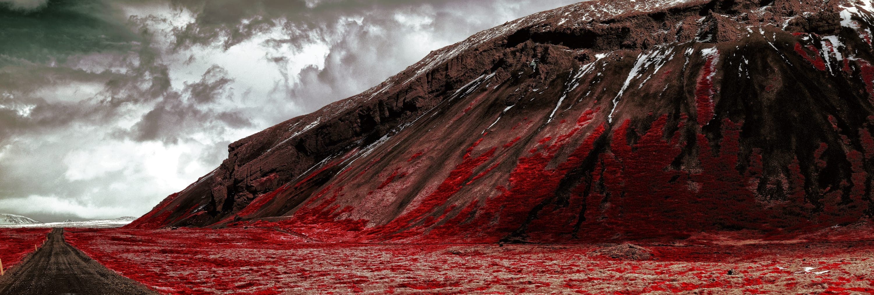 Near-infrared photograph from the Iceland series — description pending curation