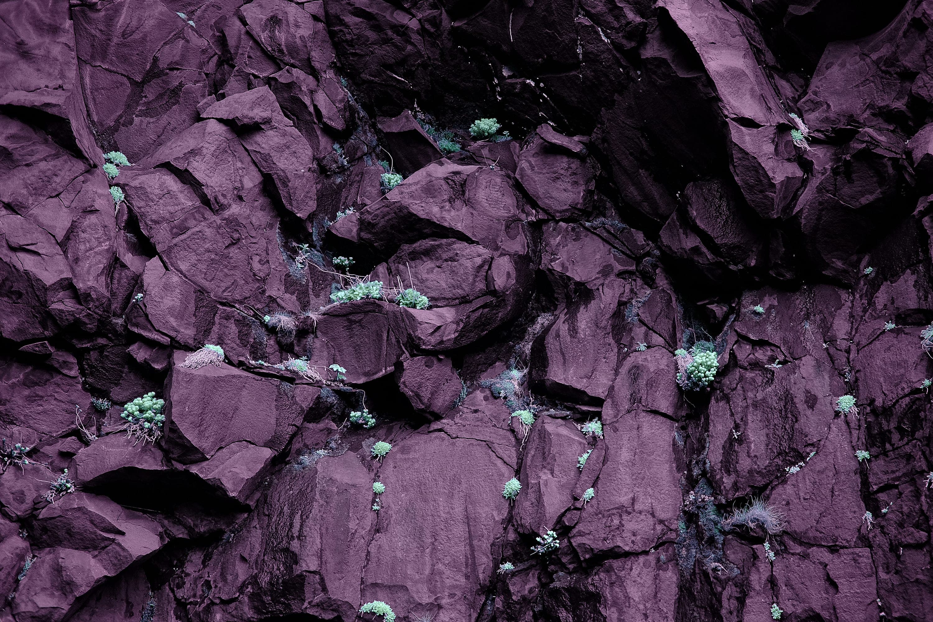 Near-infrared photograph from the Iceland series — description pending curation