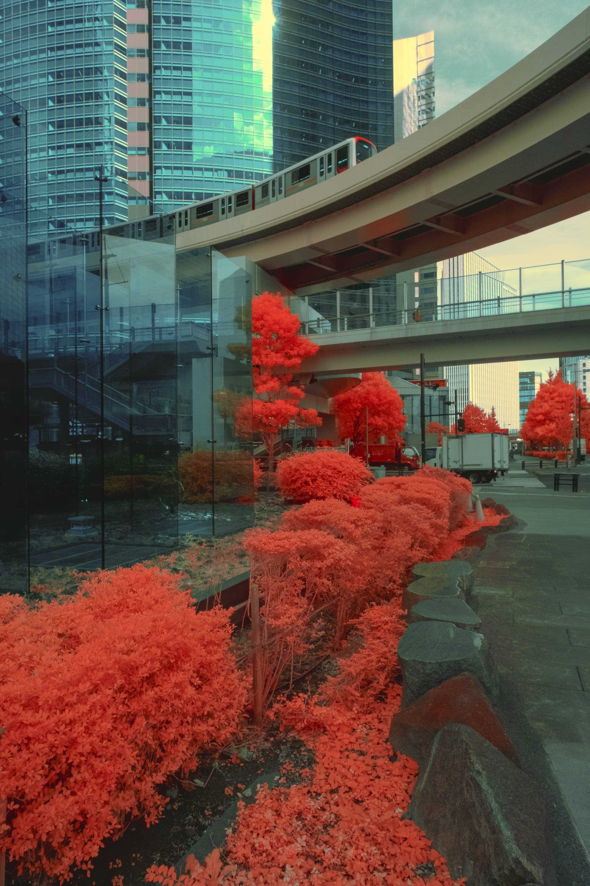 Near-infrared photograph from the Japan series — description pending curation