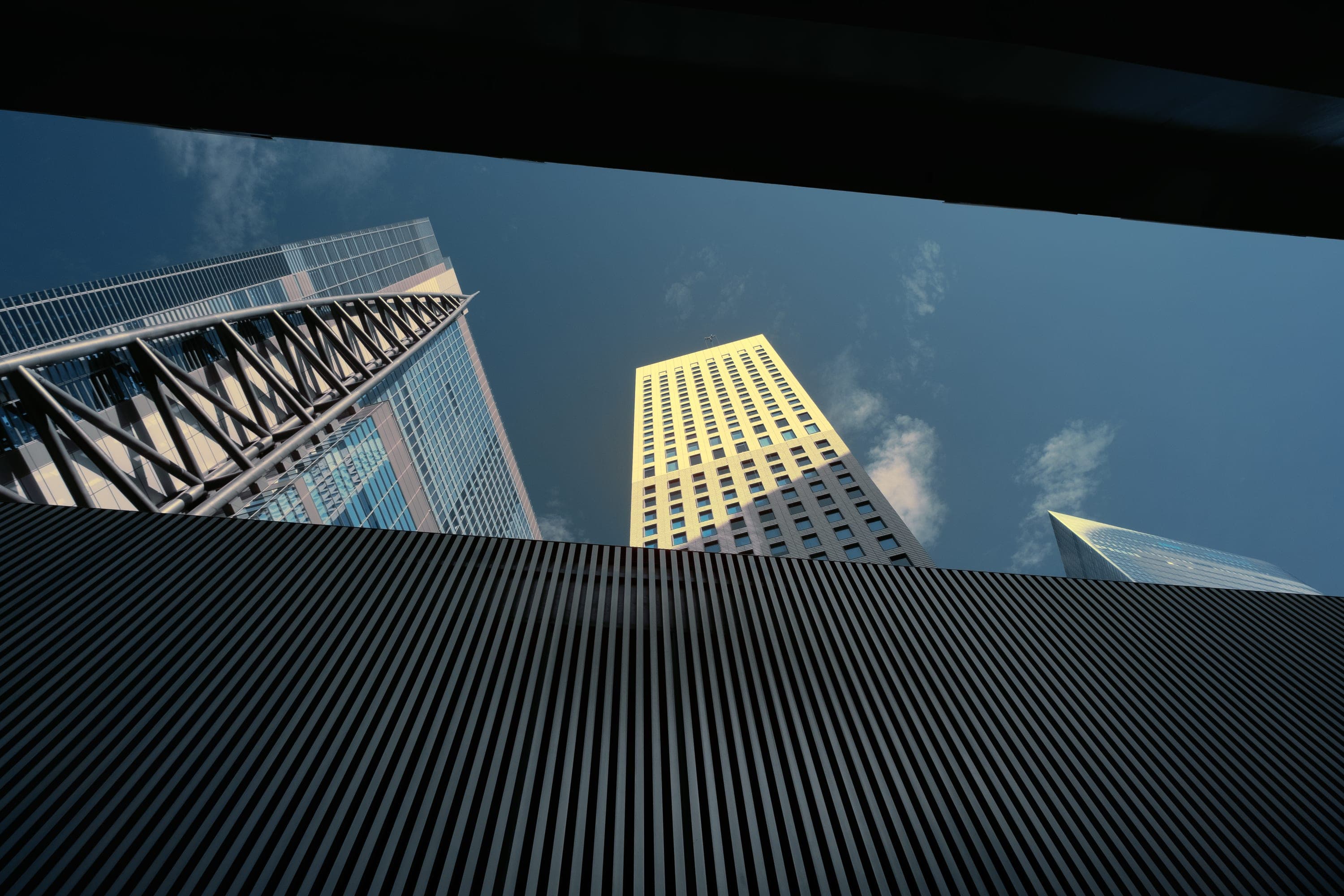 Near-infrared photograph from the Japan series — description pending curation