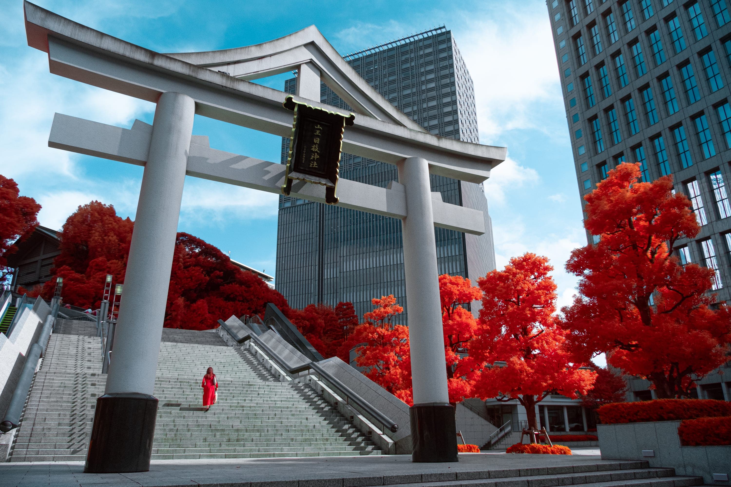 Near-infrared photograph from the Japan series — description pending curation