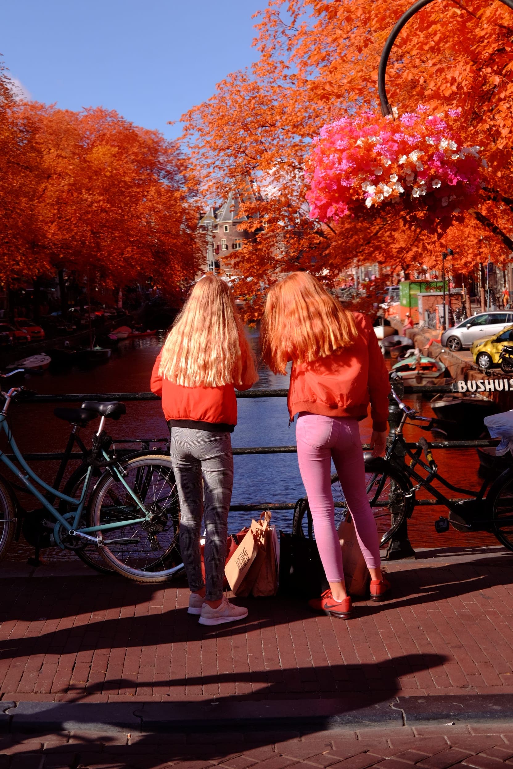 Near-infrared photograph from the Netherlands series — description pending curation