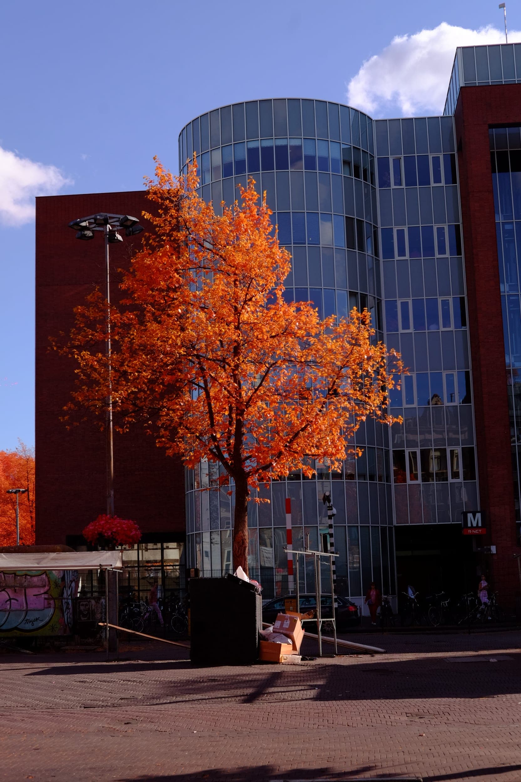 Near-infrared photograph from the Netherlands series — description pending curation