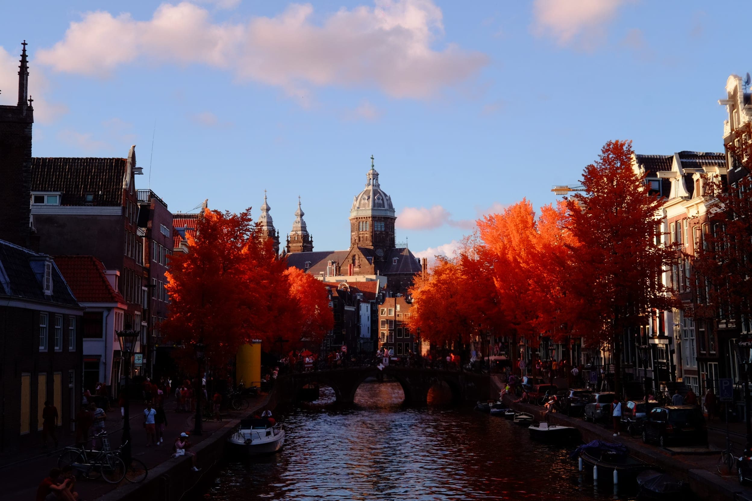 Near-infrared photograph from the Netherlands series — description pending curation