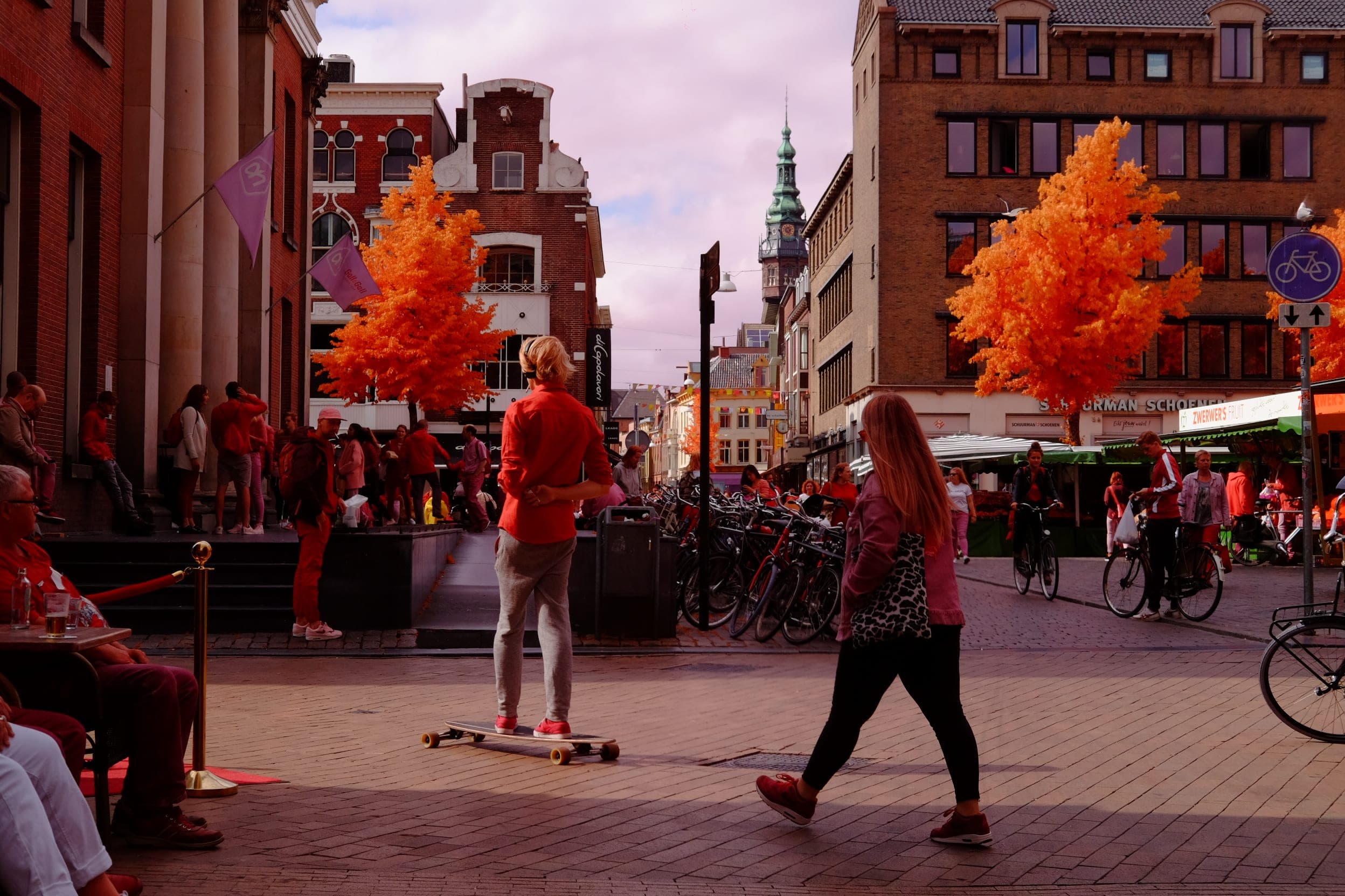 Near-infrared photograph from the Netherlands series — description pending curation