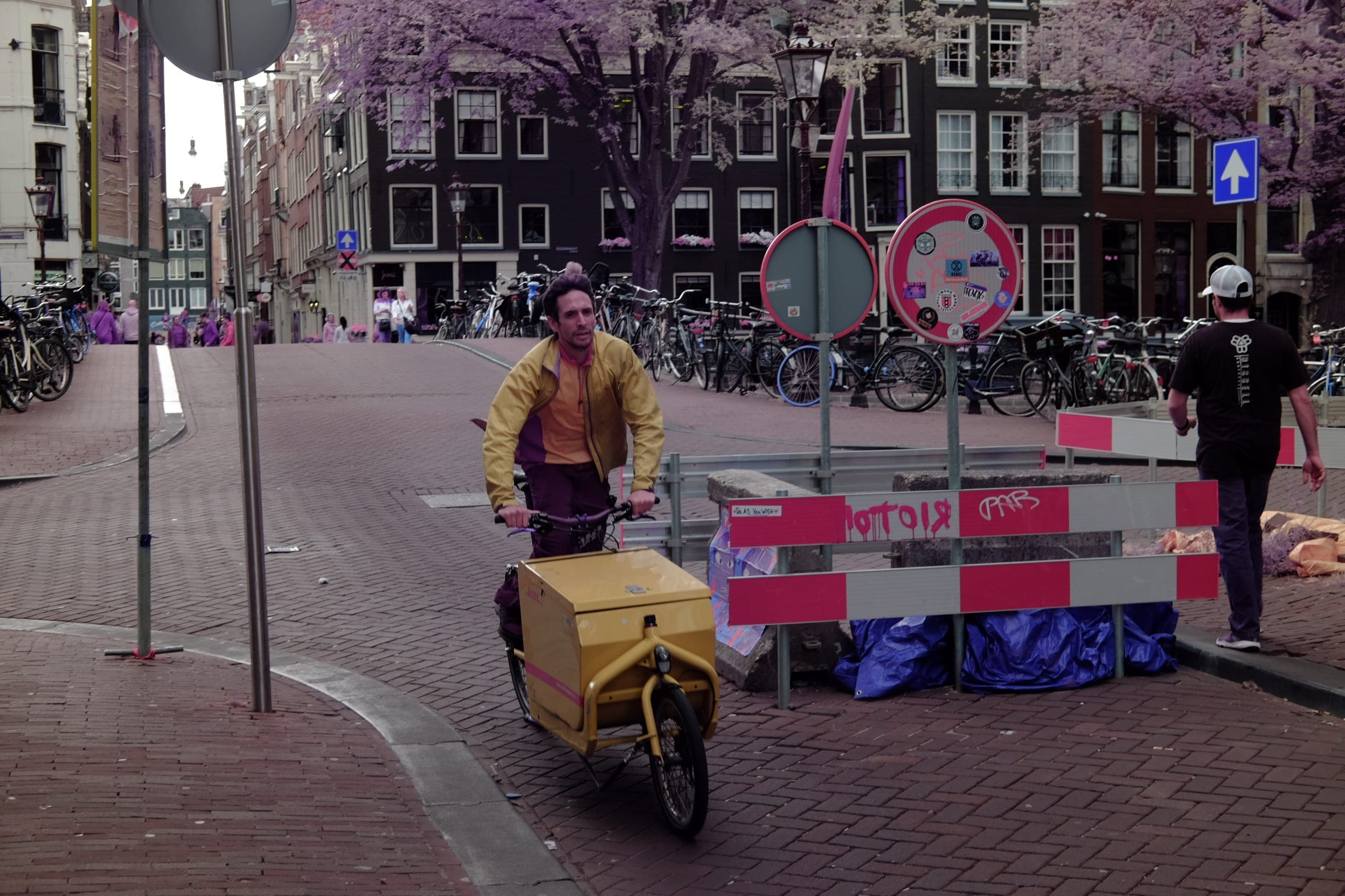 Near-infrared photograph from the Netherlands series — description pending curation