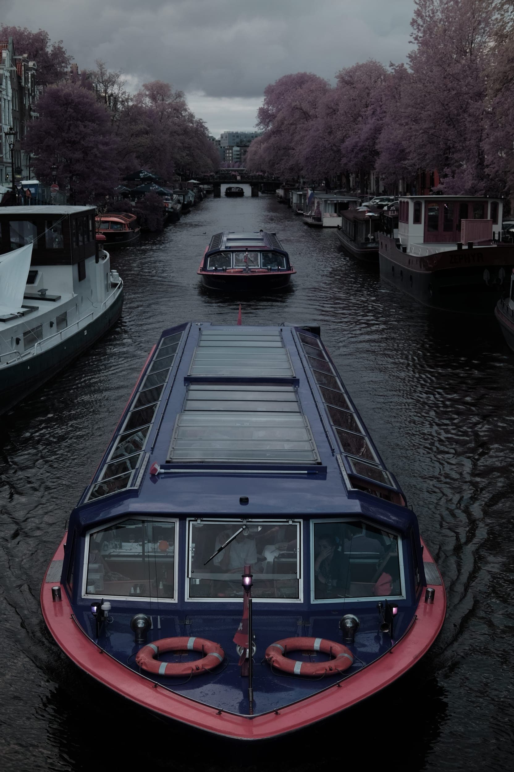 Near-infrared photograph from the Netherlands series — description pending curation