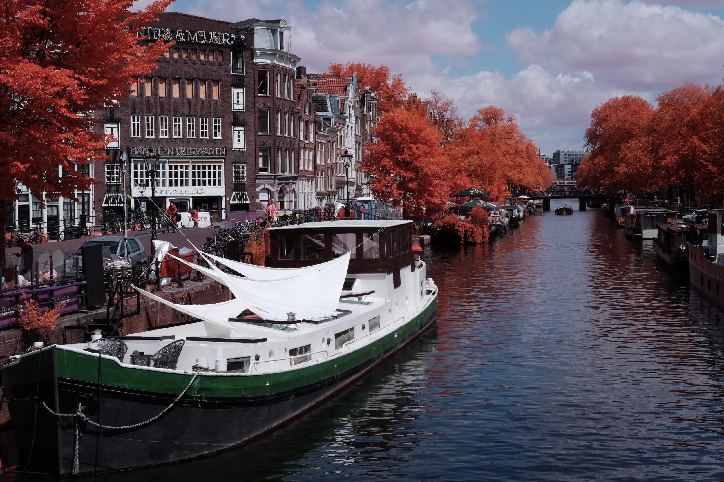Near-infrared photograph from the Netherlands series — description pending curation
