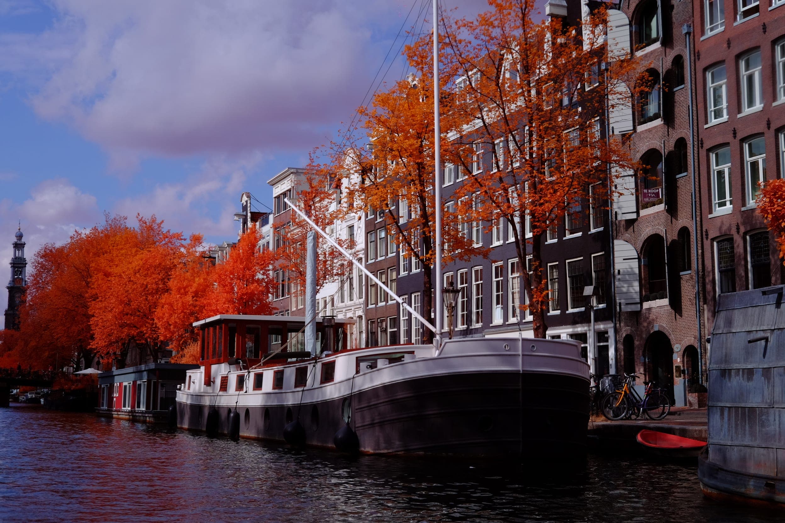 Near-infrared photograph from the Netherlands series — description pending curation