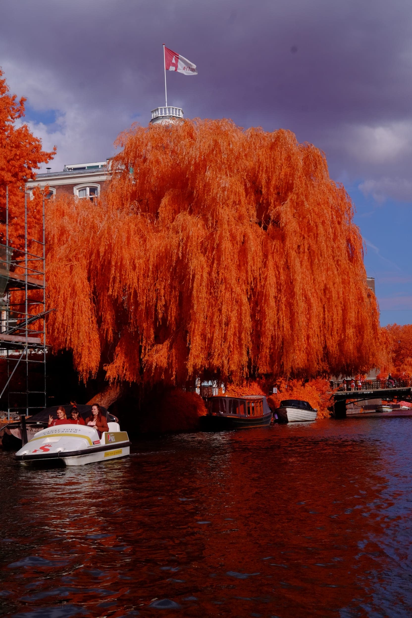 Near-infrared photograph from the Netherlands series — description pending curation