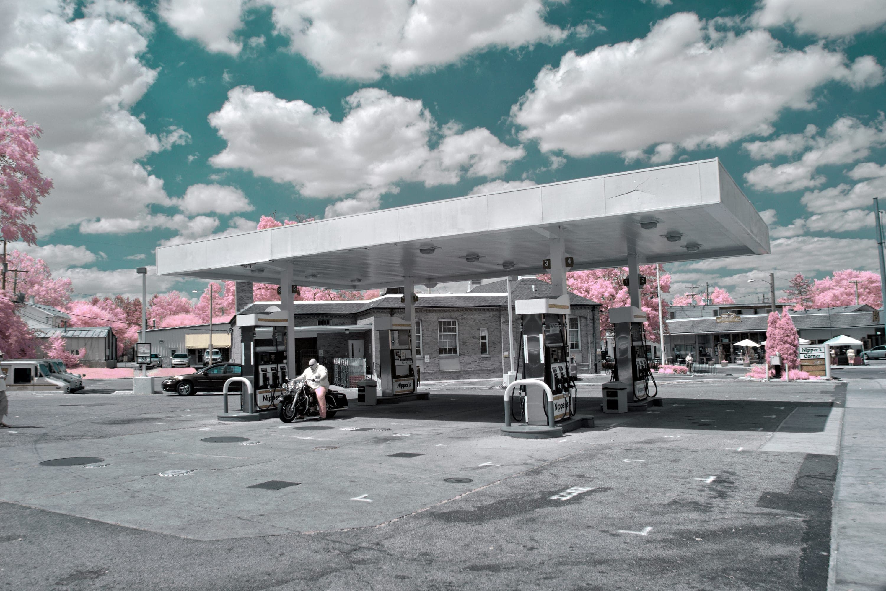 Near-infrared photograph from the Take two series — description pending curation