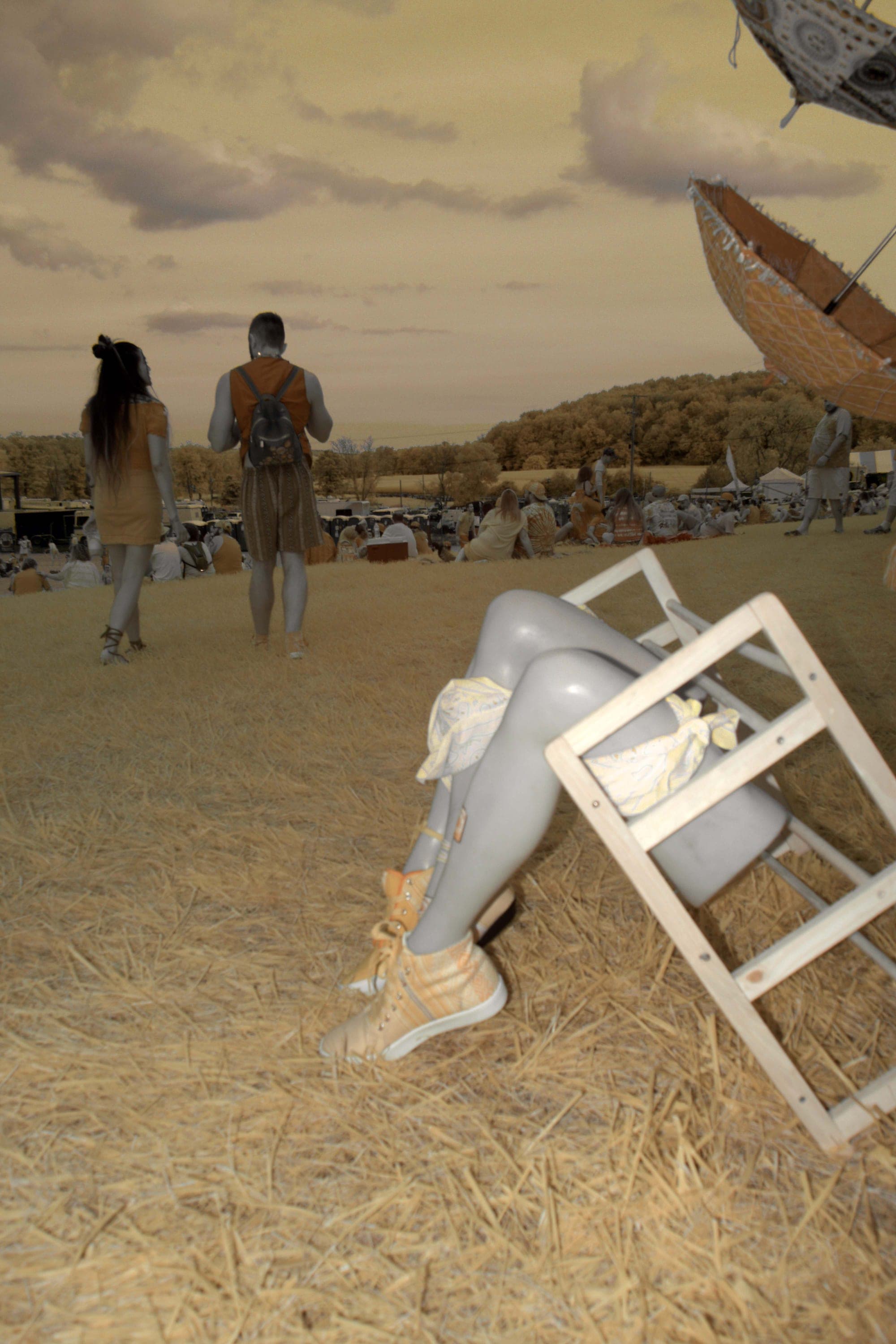 Near-infrared photograph from the Take two series — description pending curation