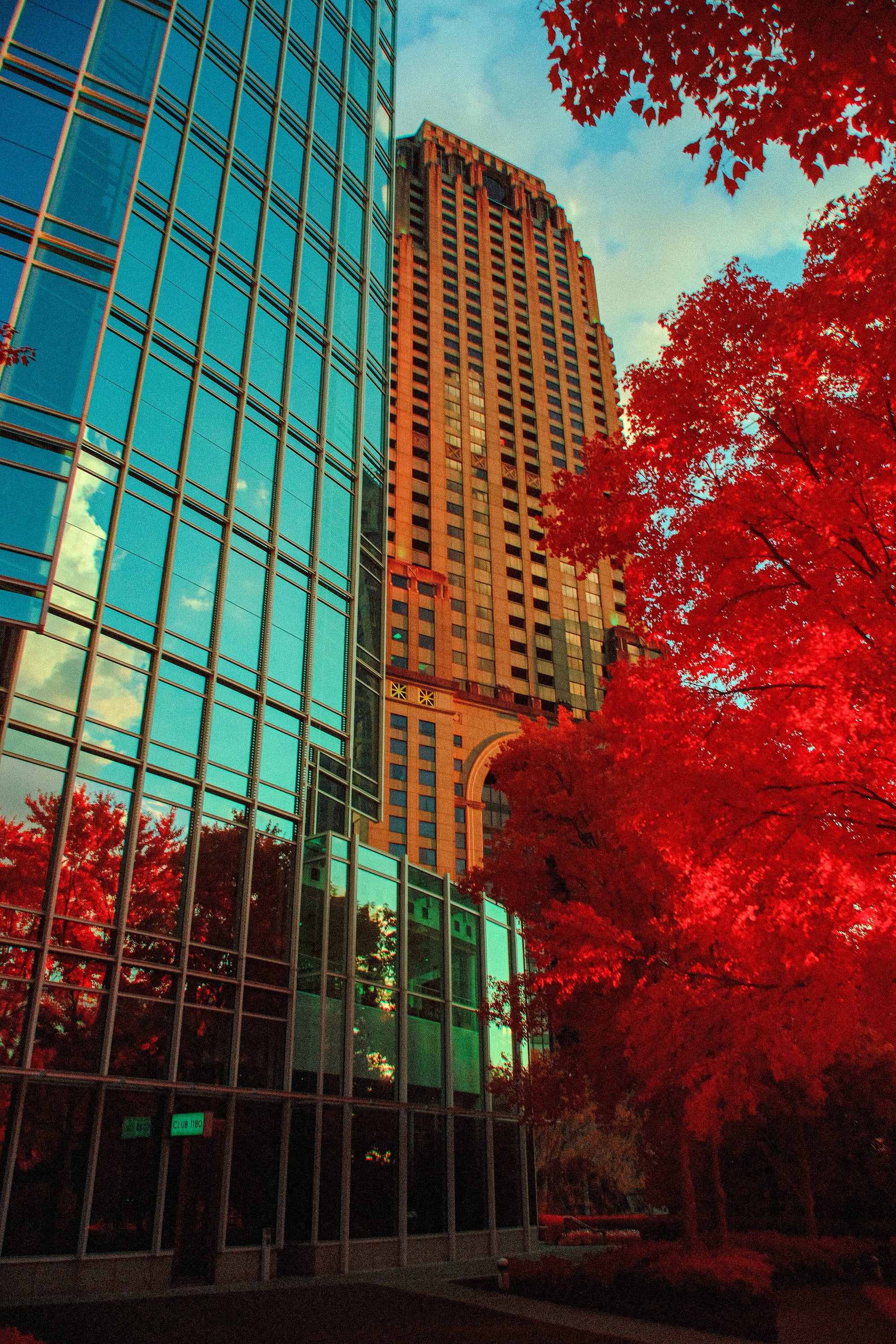 Near-infrared photograph from the Atlanta series — description pending curation