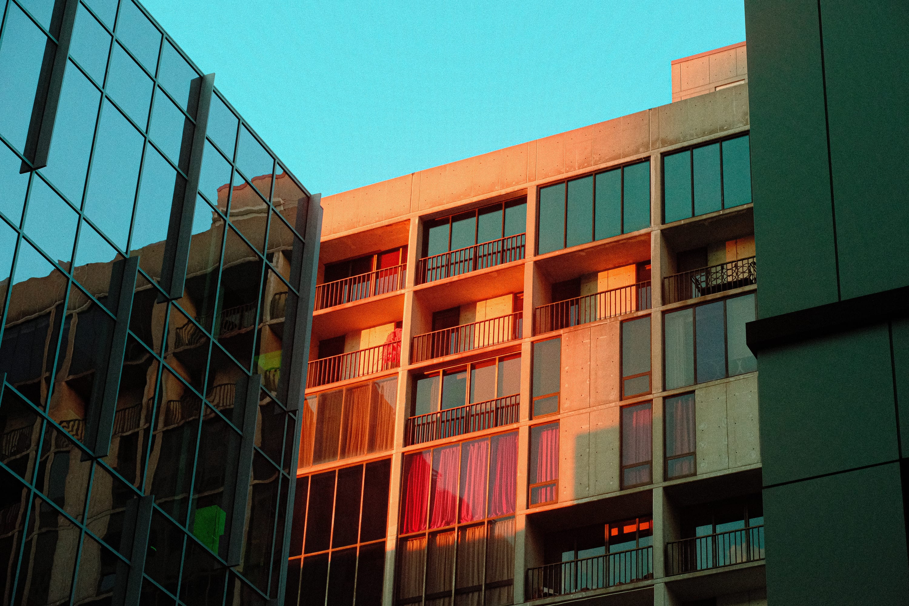 Near-infrared photograph from the Atlanta series — description pending curation
