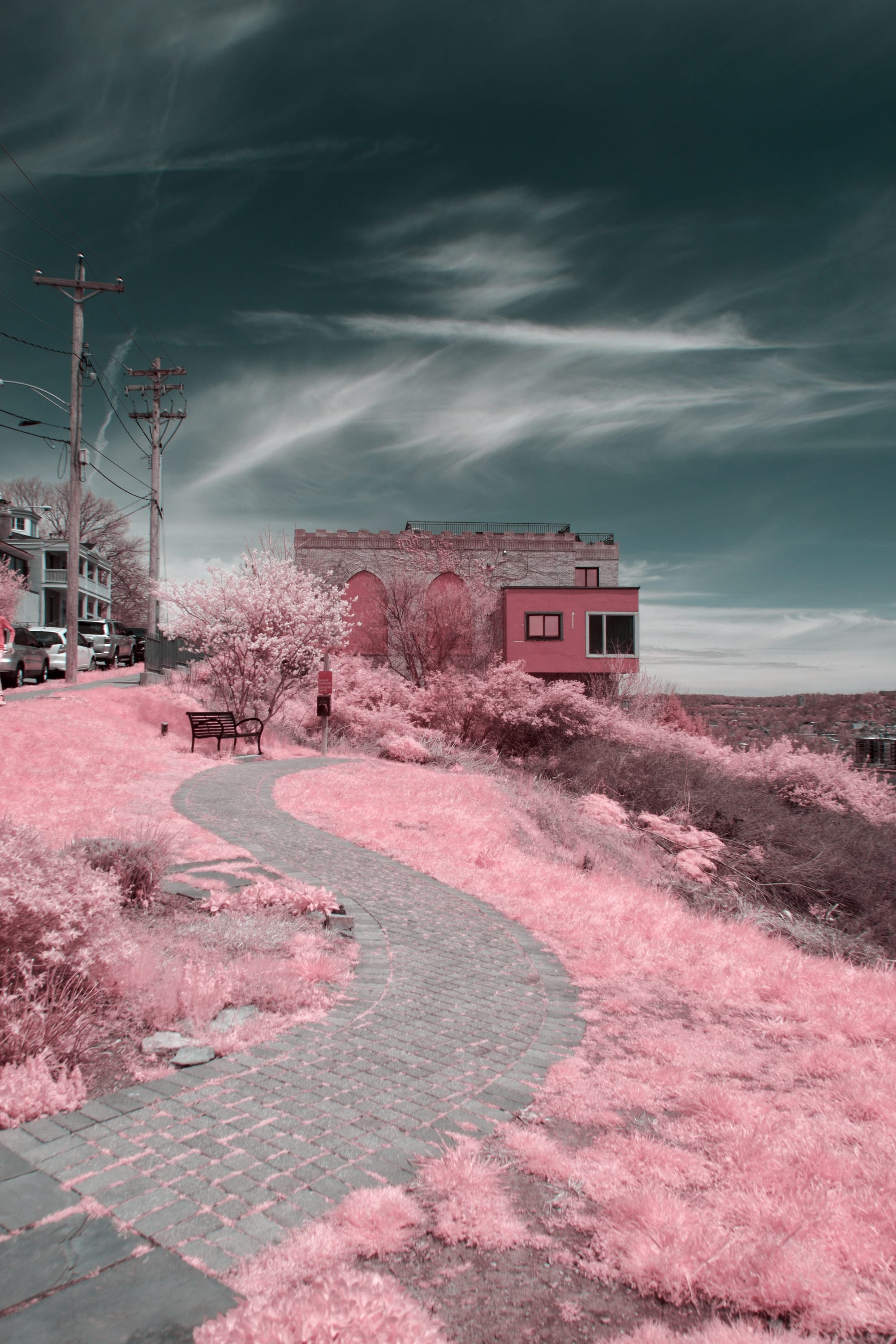 Near-infrared photograph from the Cincinnati series — description pending curation